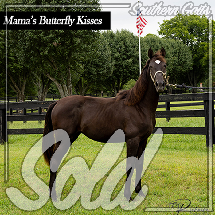 butterfly kisses sold pic.png