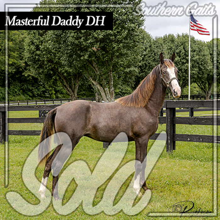 masterful daddy sold pic.png