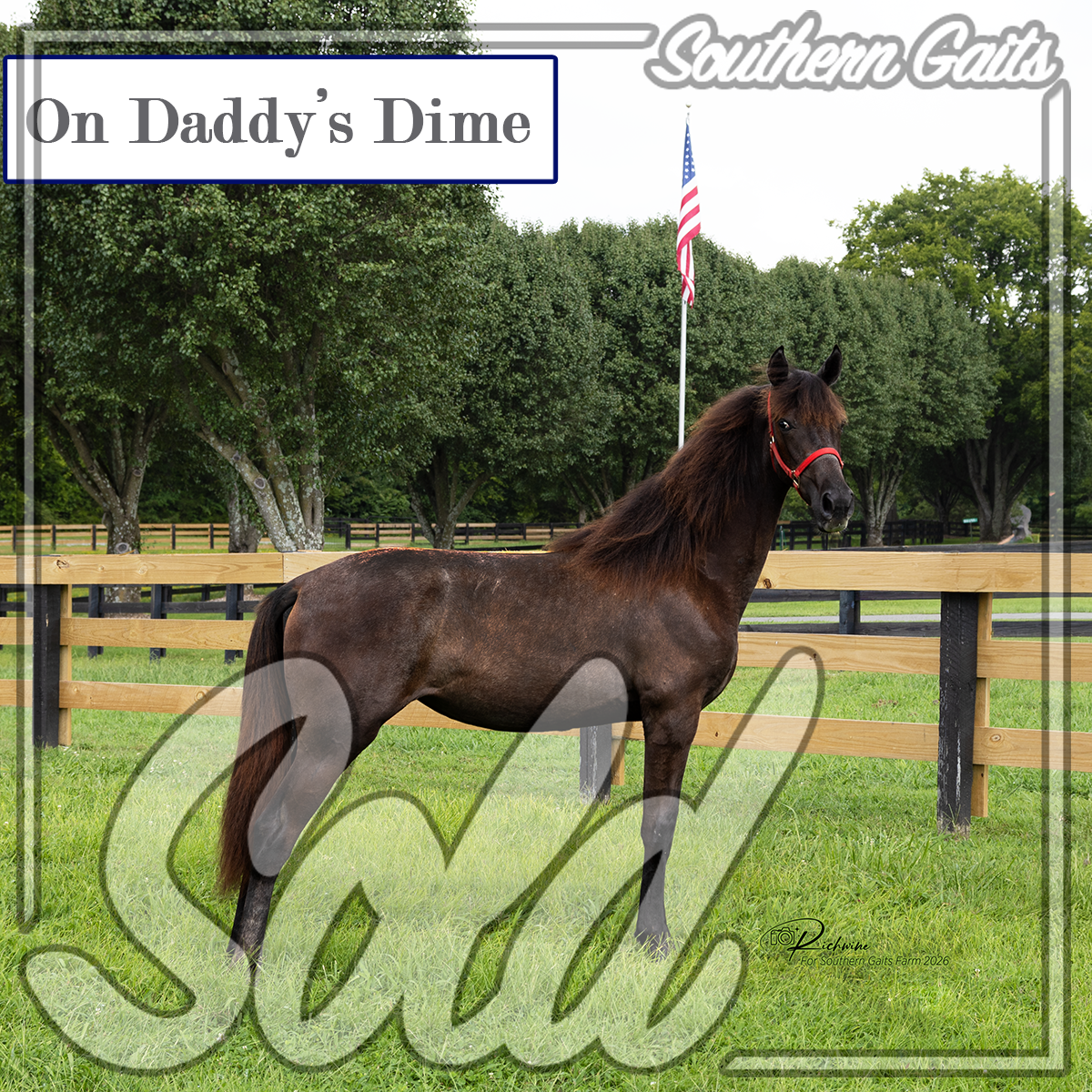 Dime's Ssiter (1 of 7) SOLD.png