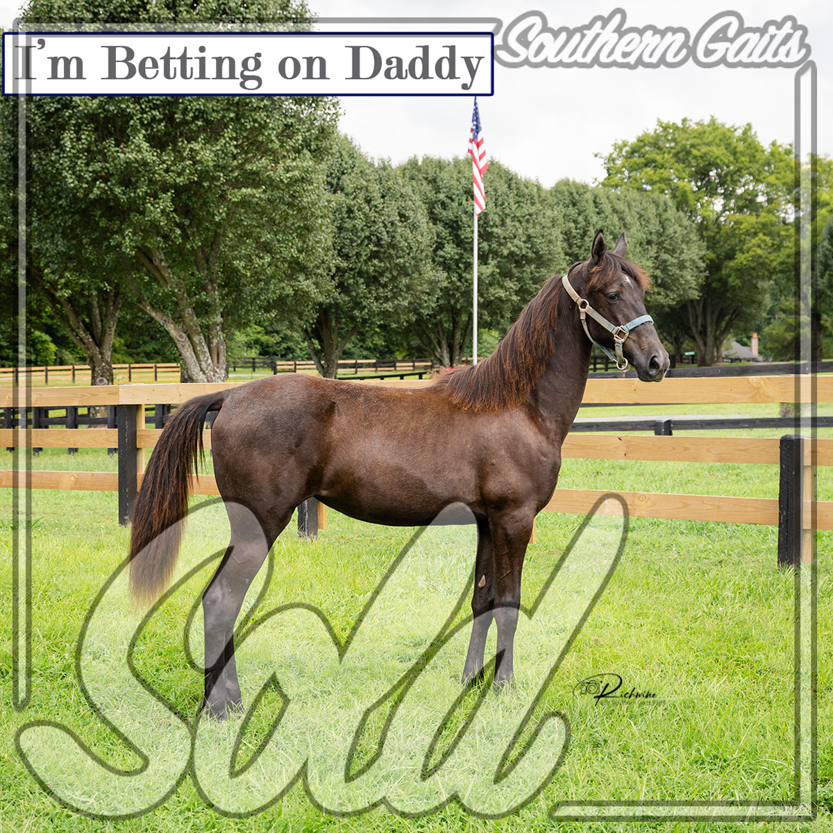 Baby 2 (5 of 7) SOLD.png