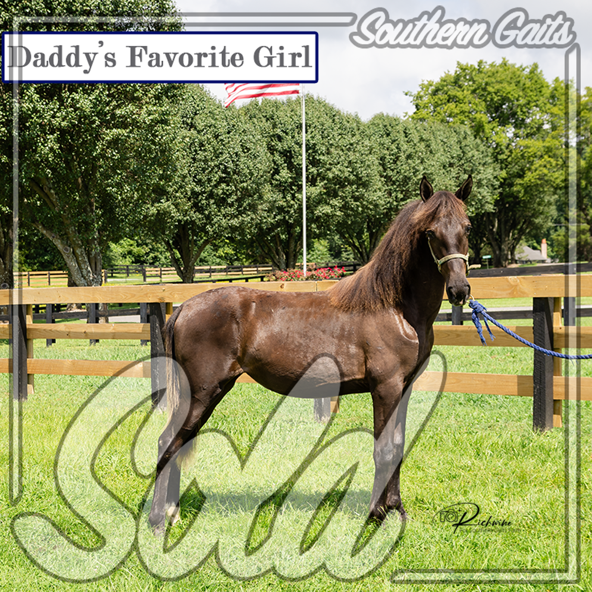 Baby 3 (4 of 9) SOLD.png