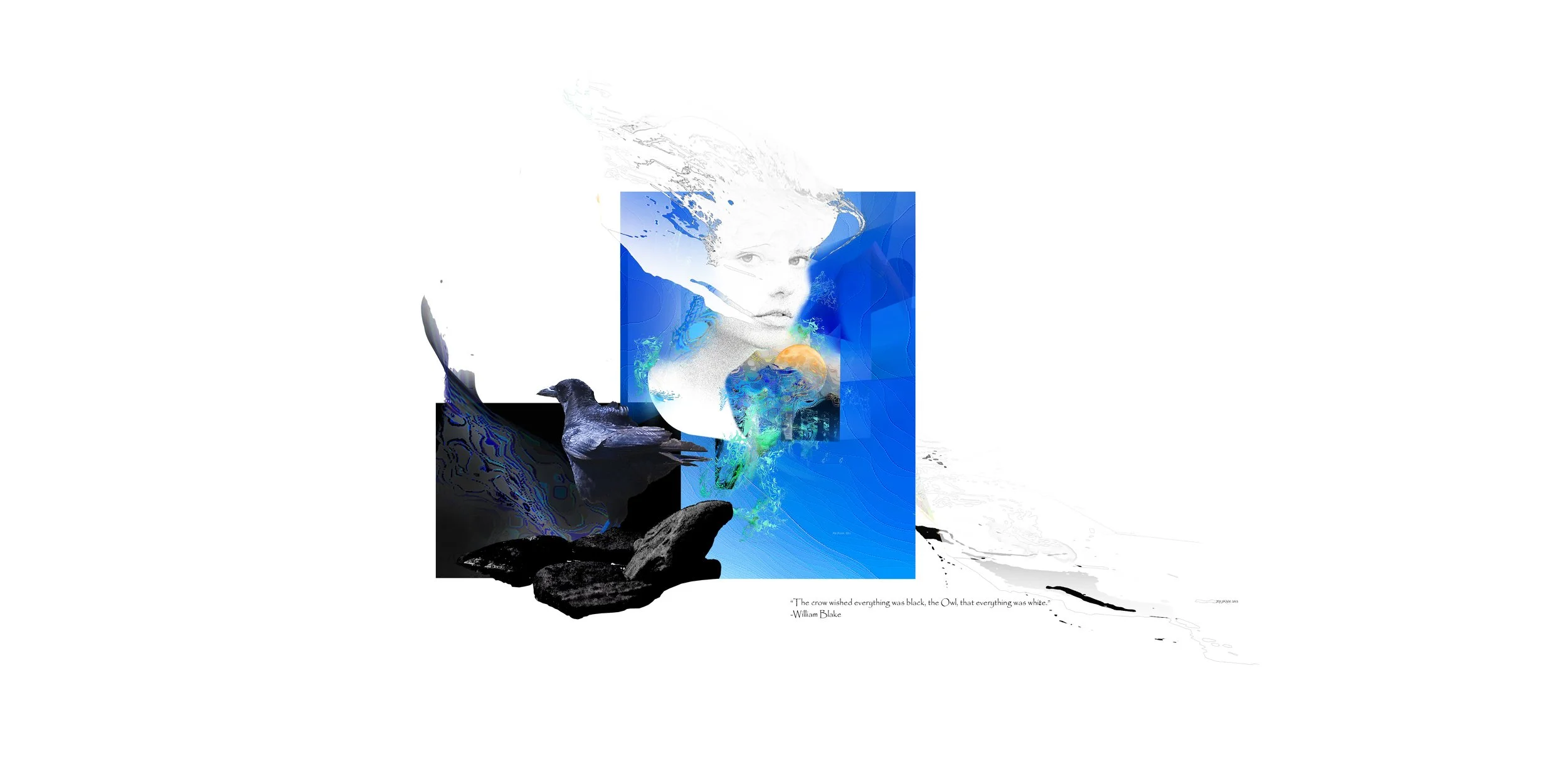 Folly and the White Crow