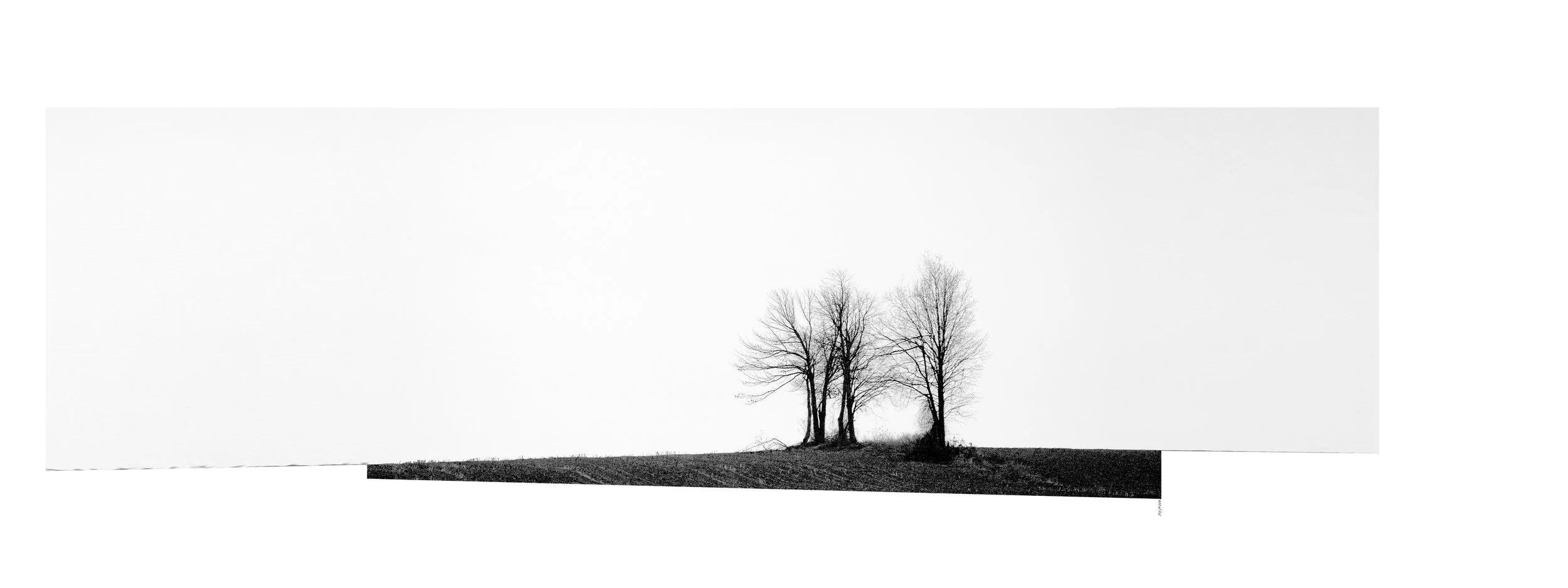  64 Rains #6