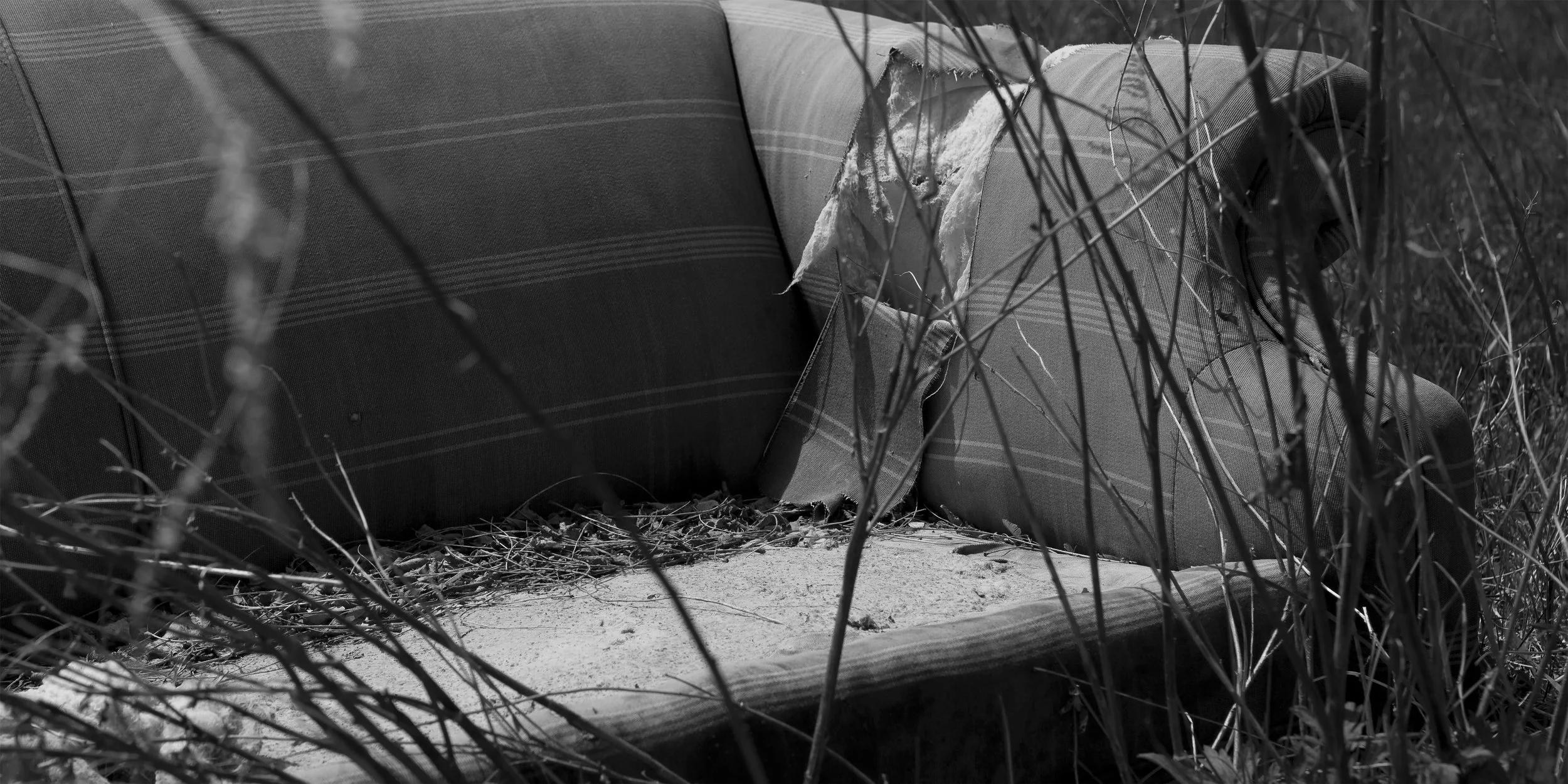 The Field Sofa