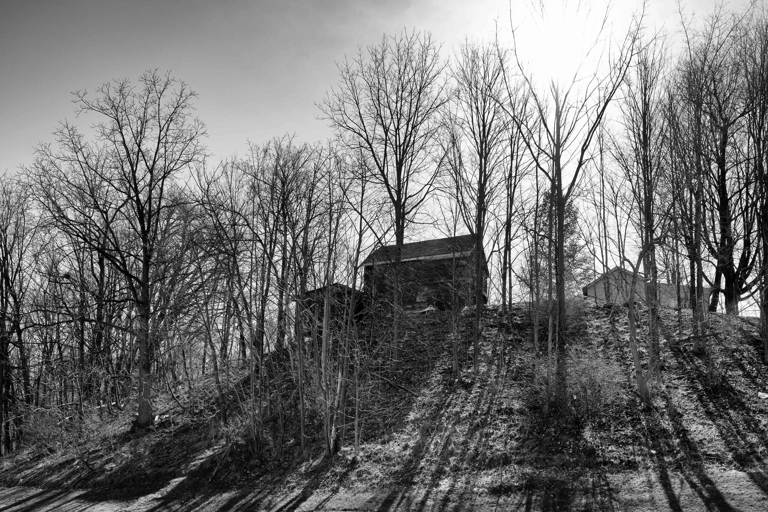 Macedon Hillside #4 Flipped B&W DSCF3048.jpg