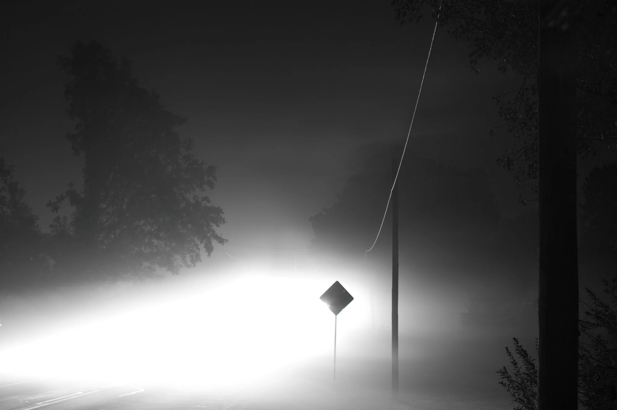 Cheese Factory Road Fog