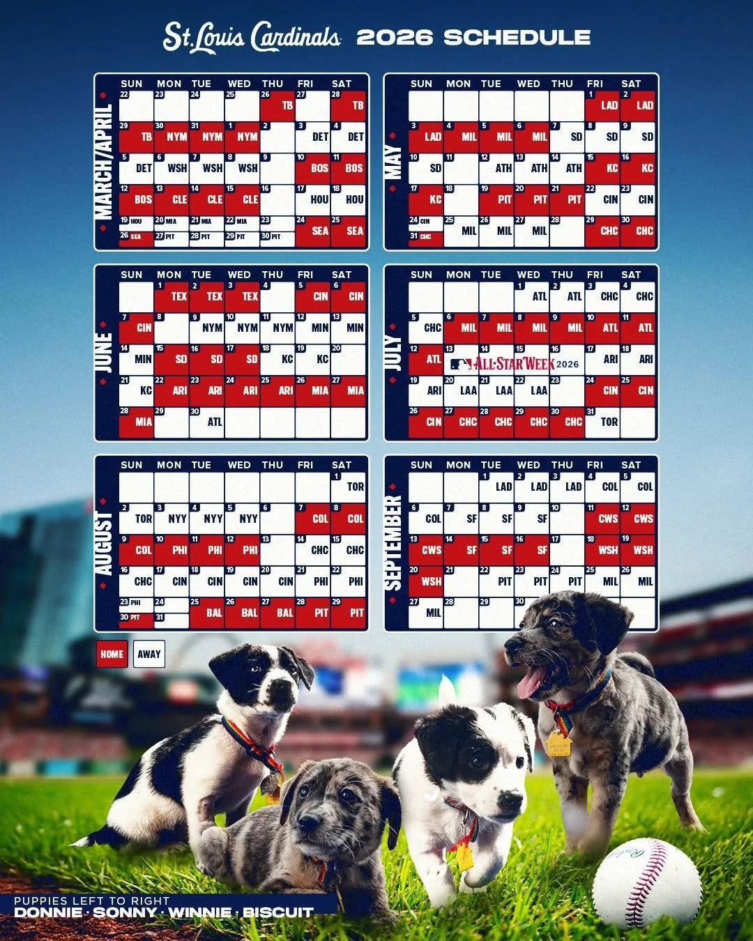 2026 Cardinals schedule.jpg