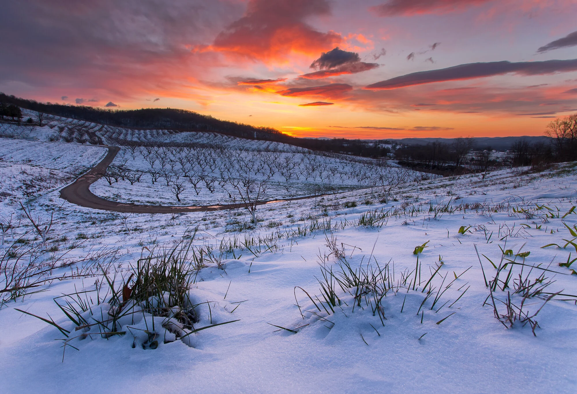ChilesSnowySunrise2-web1367x2000U200.jpg
