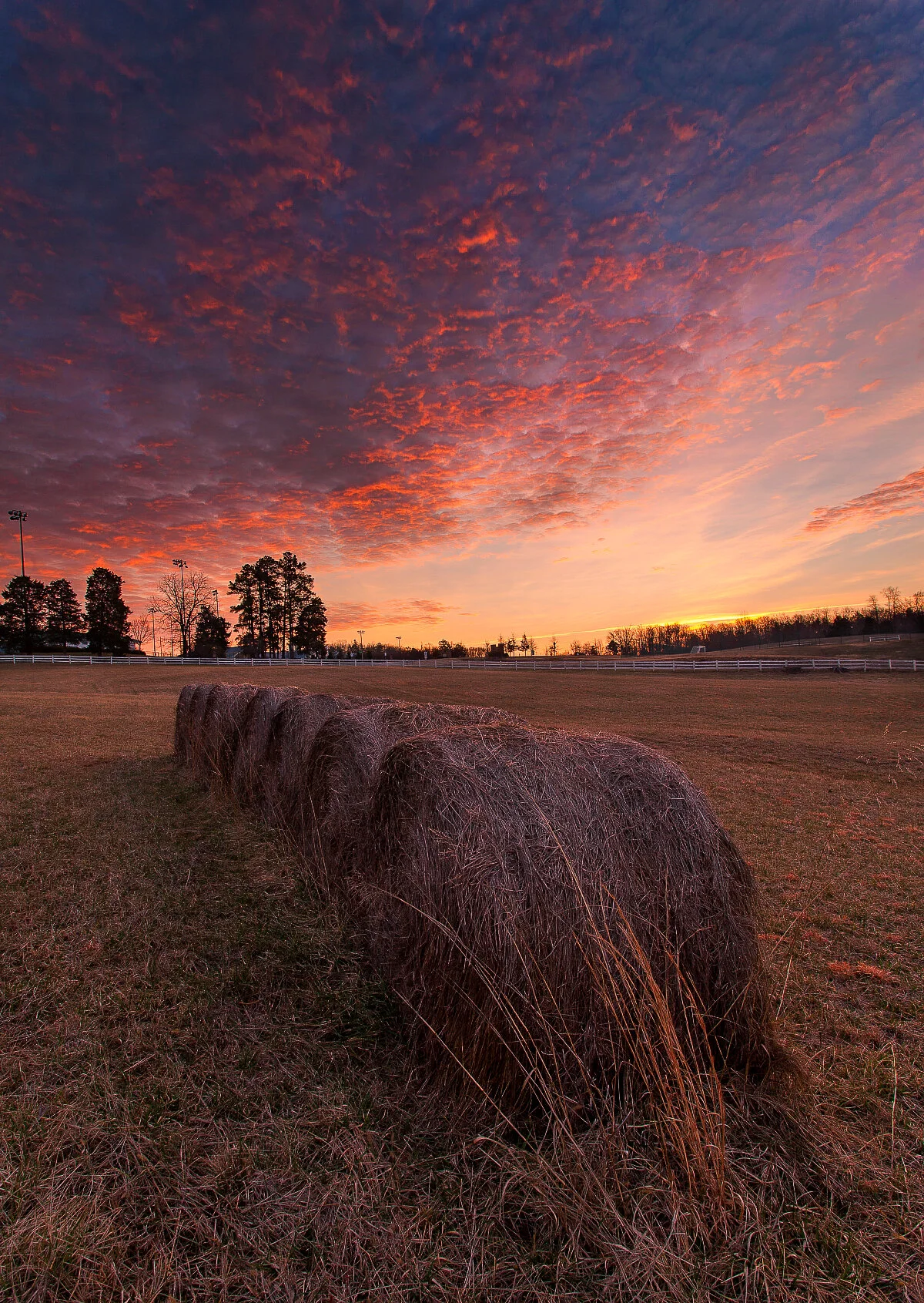 CharlottesvilleSaintAnne'sBelfieldSTABHayBaleSunrise-web1691x1200U200.jpg