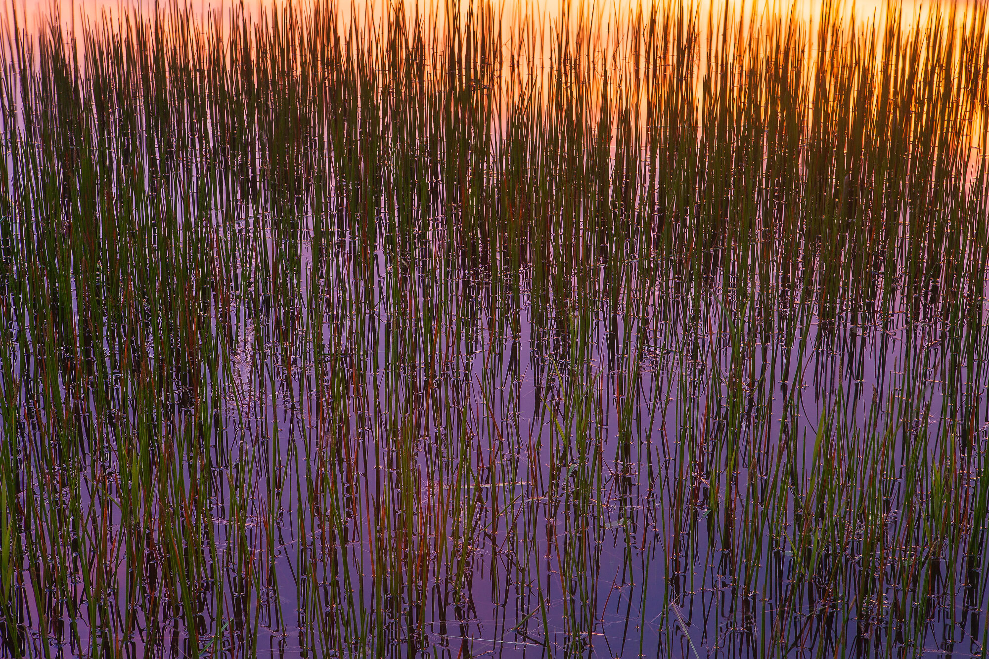 Beaver Creek Abstract 1