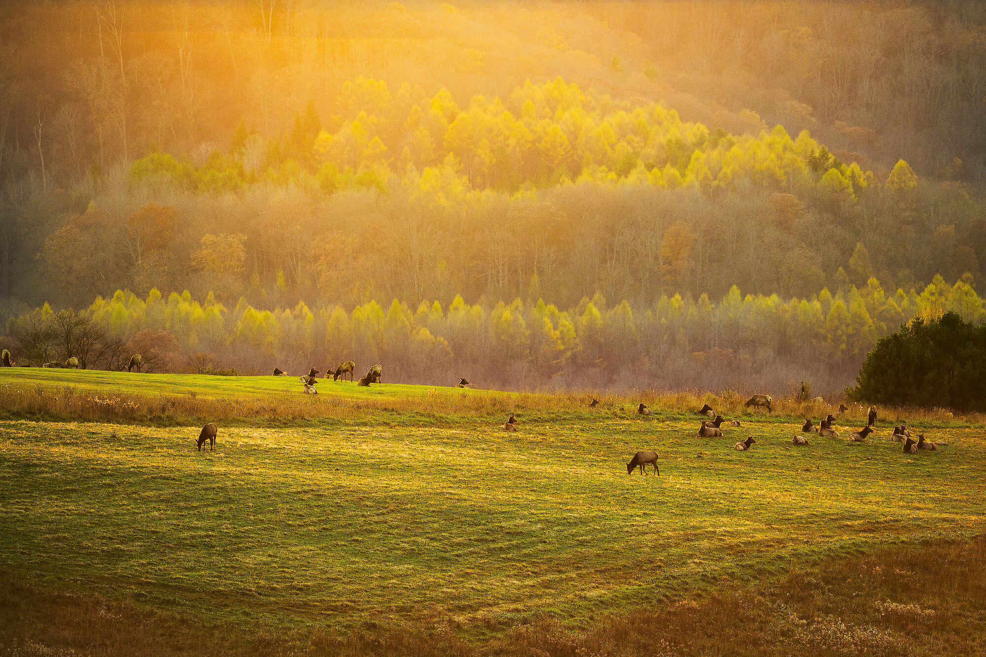 Elk Ridge In Fall