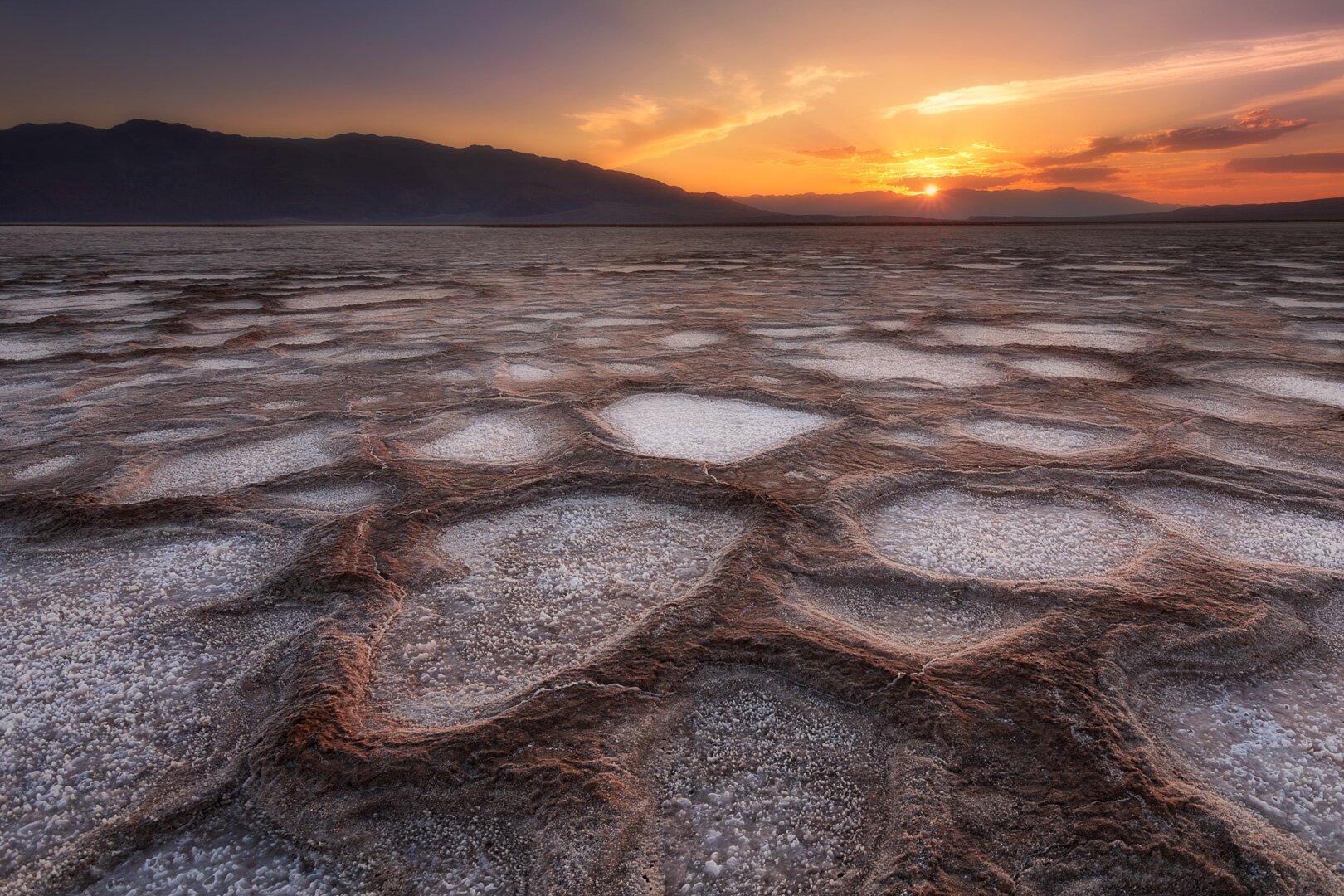 Terrains So Wild And Barbarous