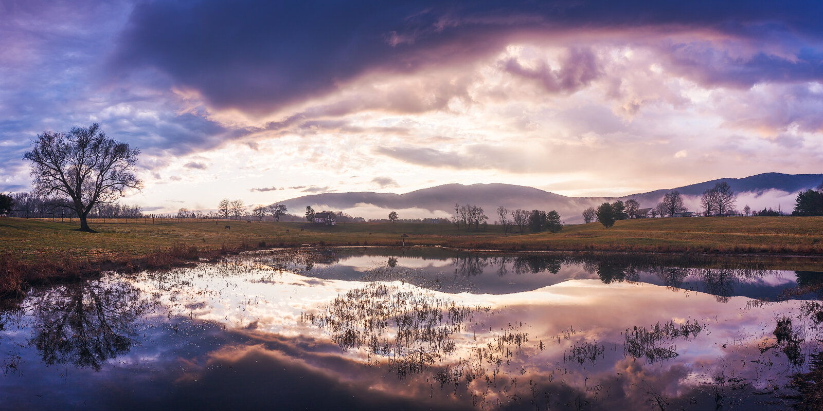 King Family Reflections
