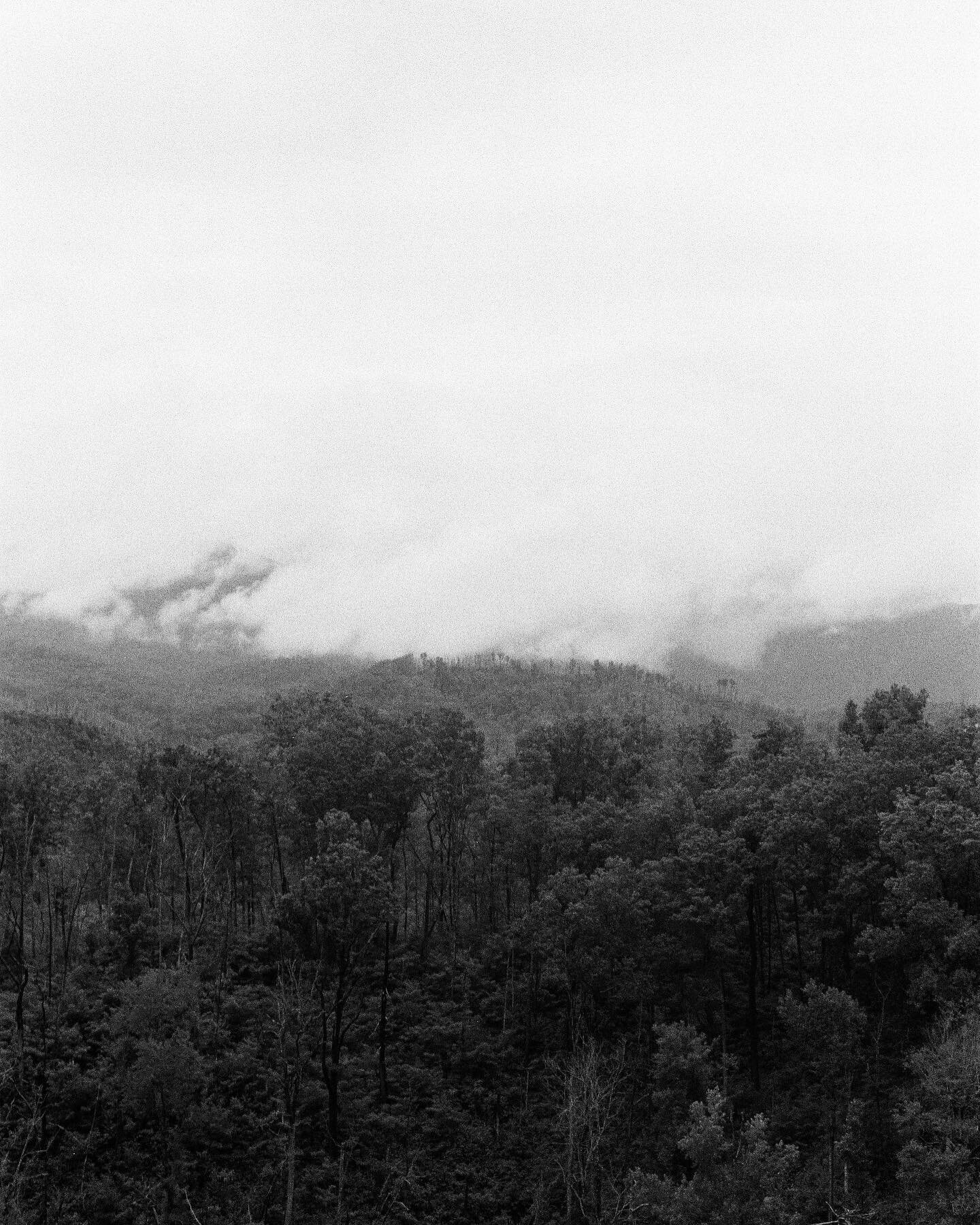 Long overdue for a mountain escape. 

Captured on Kodak 400 B&amp;W film 

Stay tuned for the rest of the scans.