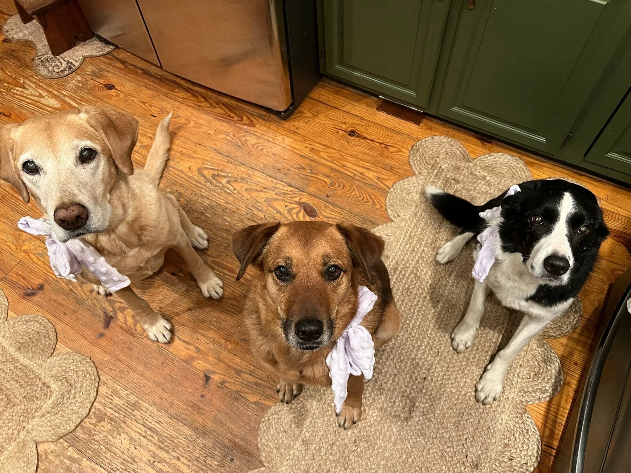 And I couldn’t leave her sisters out, so they got matching bows of course!