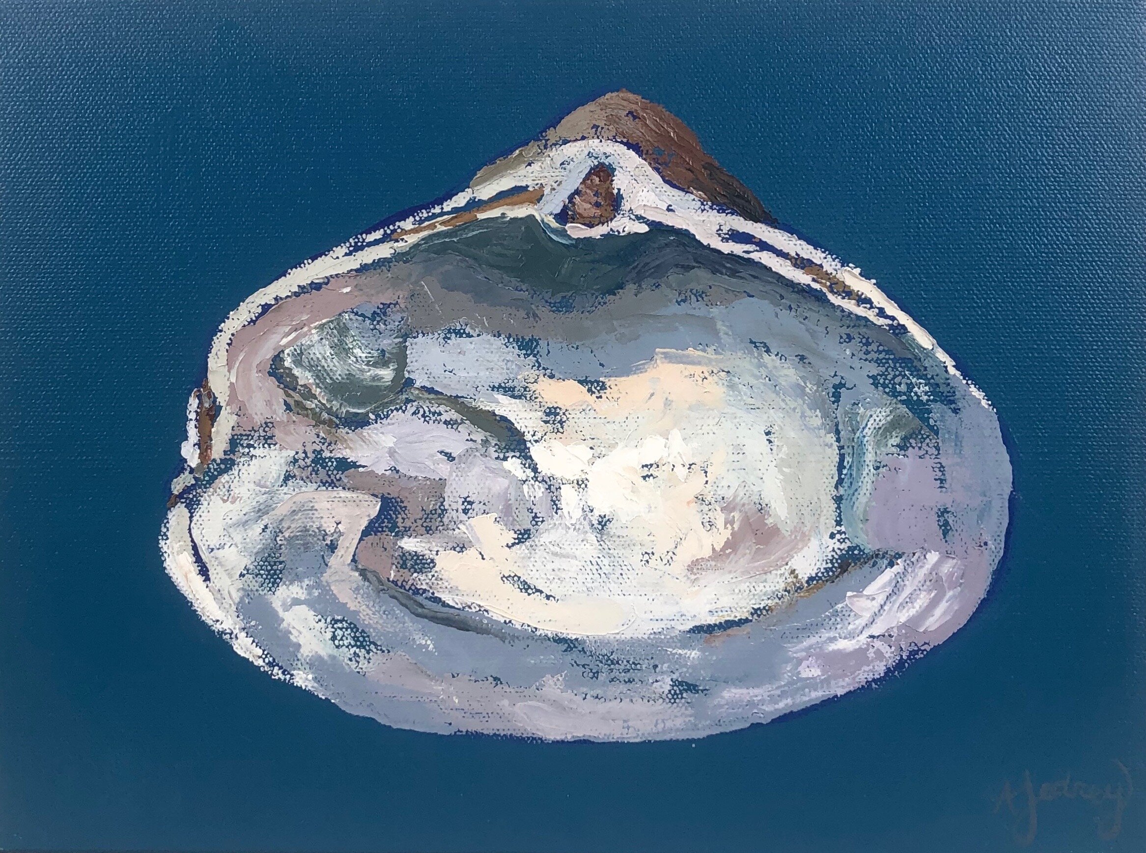 Quahog 5.jpeg