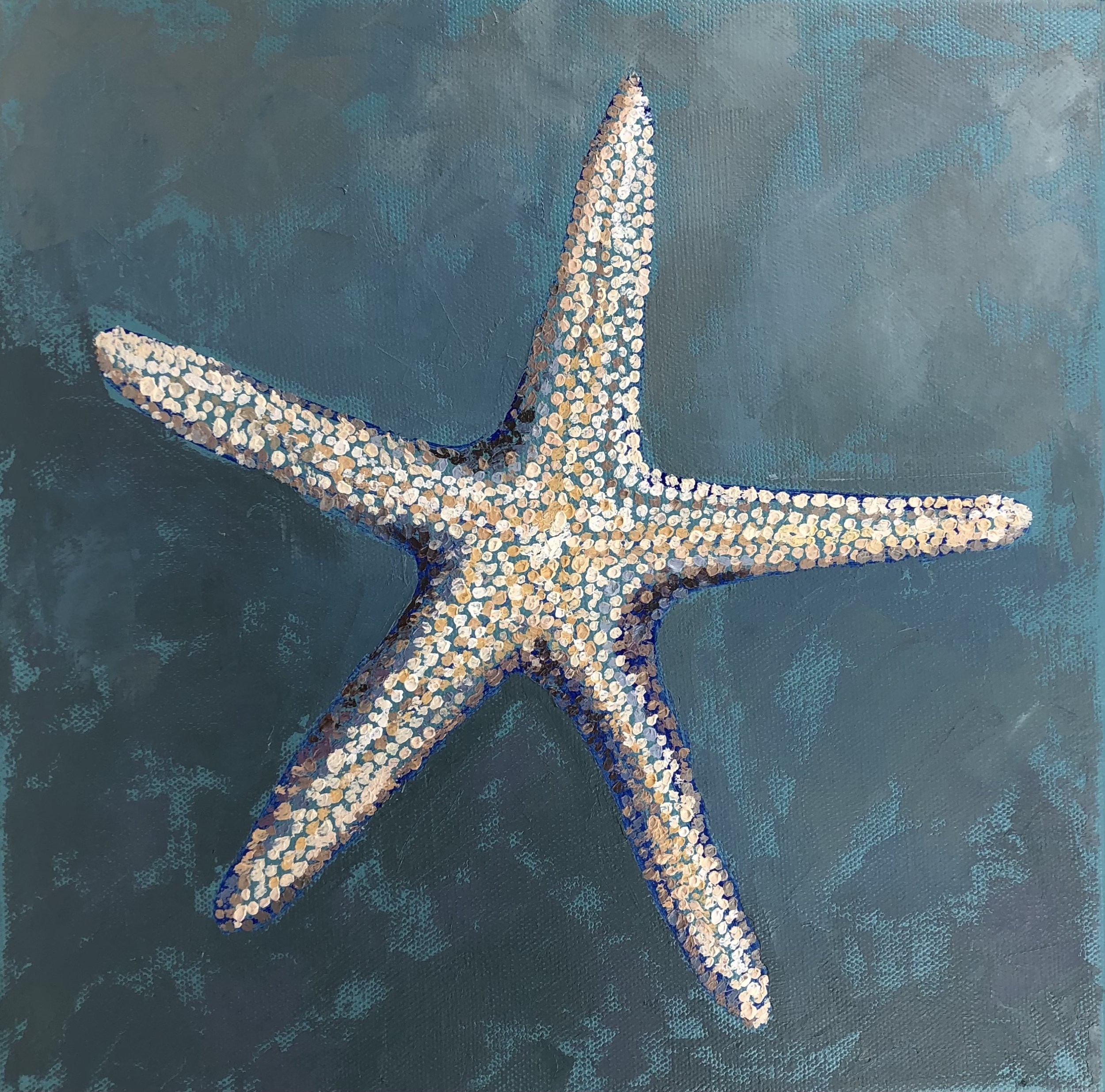 Starfish.jpeg