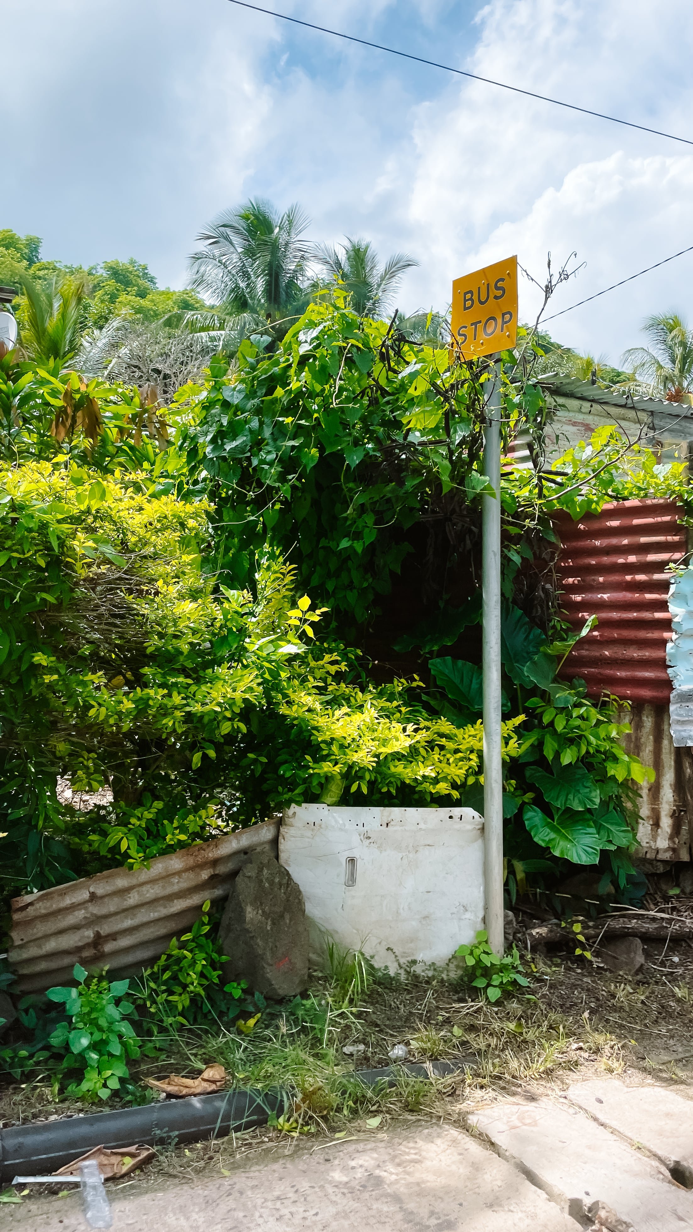 common road signs in mauritius.jpg