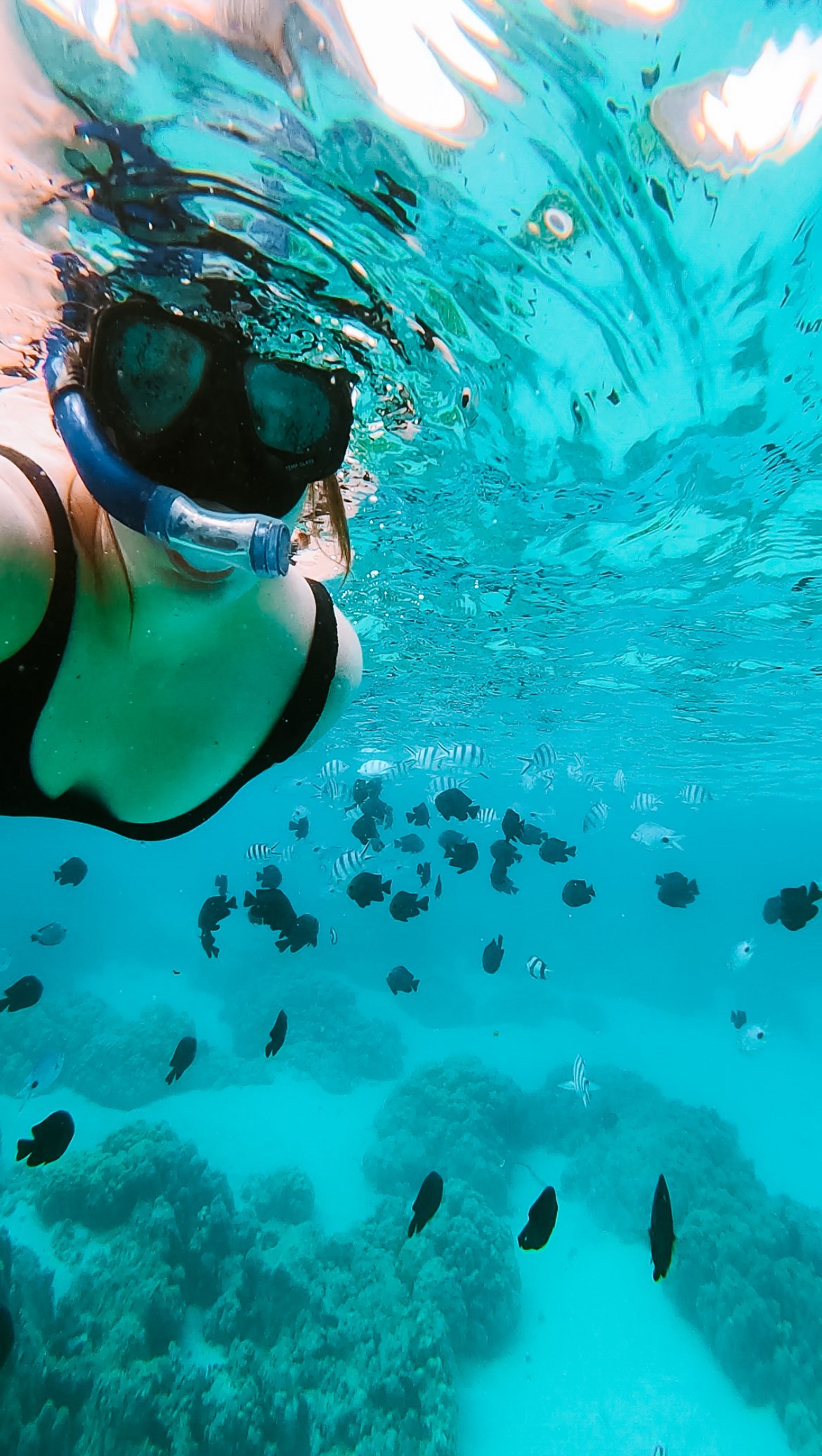 snorkeling in mauritius indian ocean.jpg