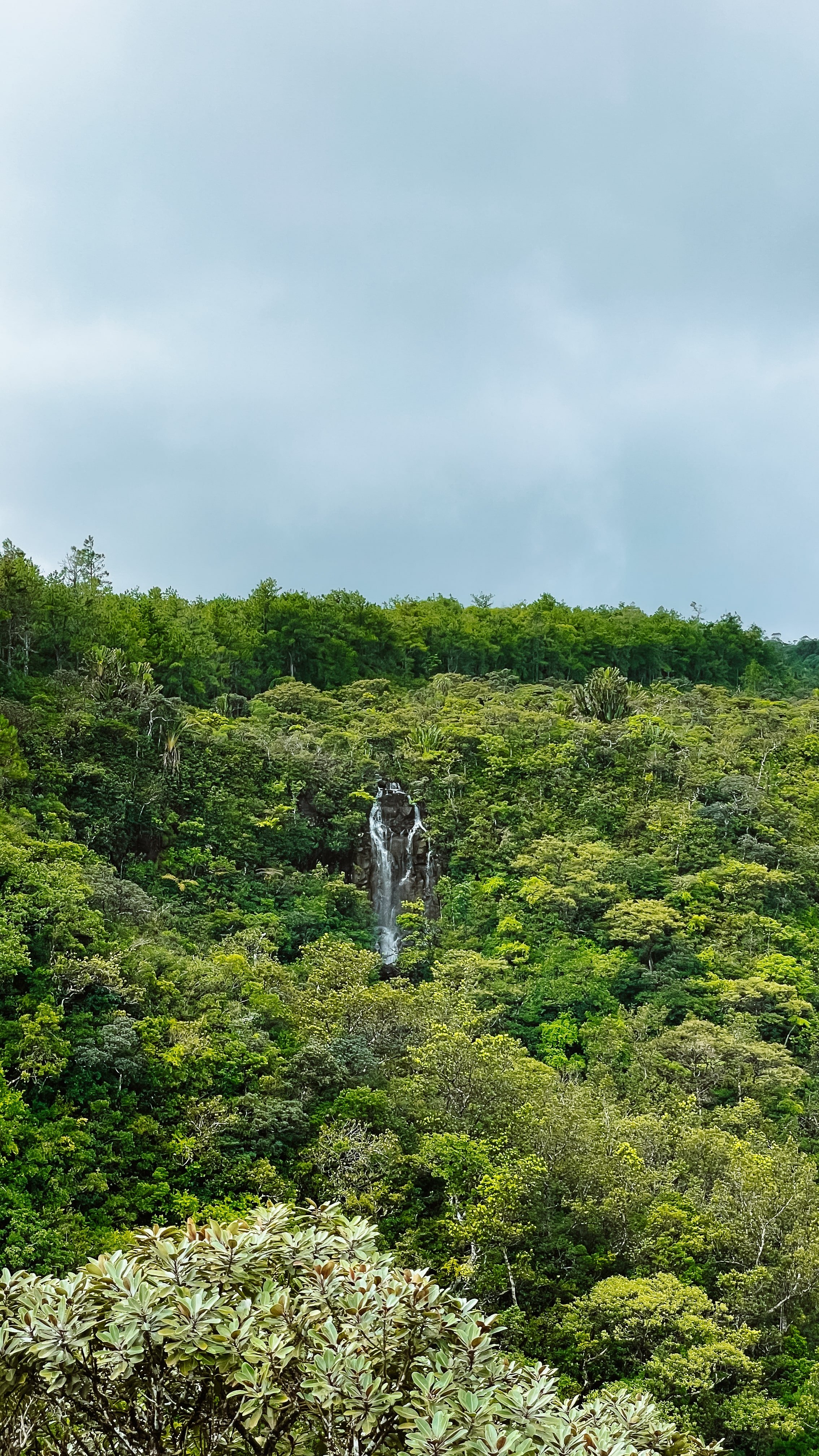 waterfalls in black river gorges national park mauritius.jpg