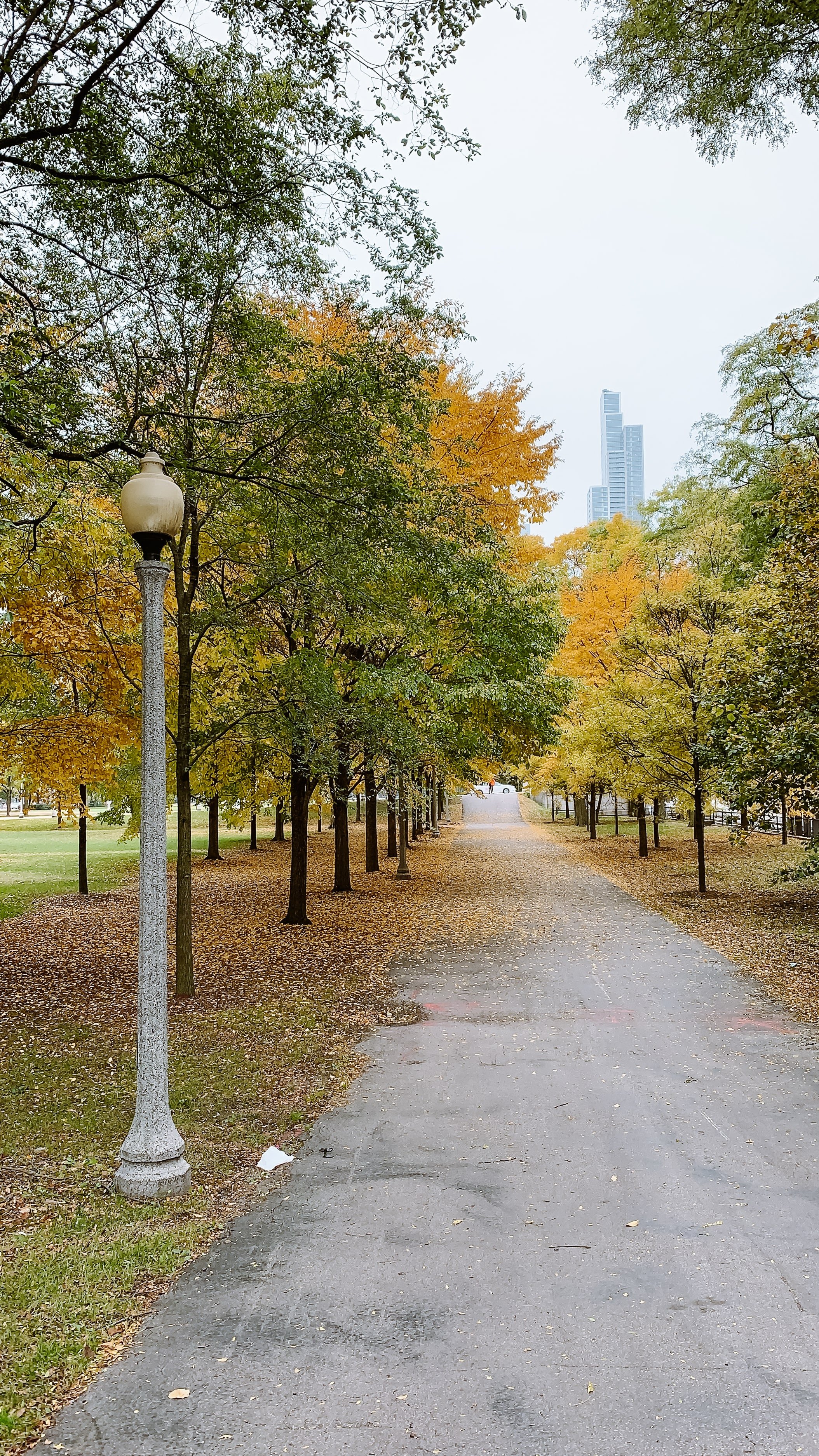 best parks to visit in chicago.jpg