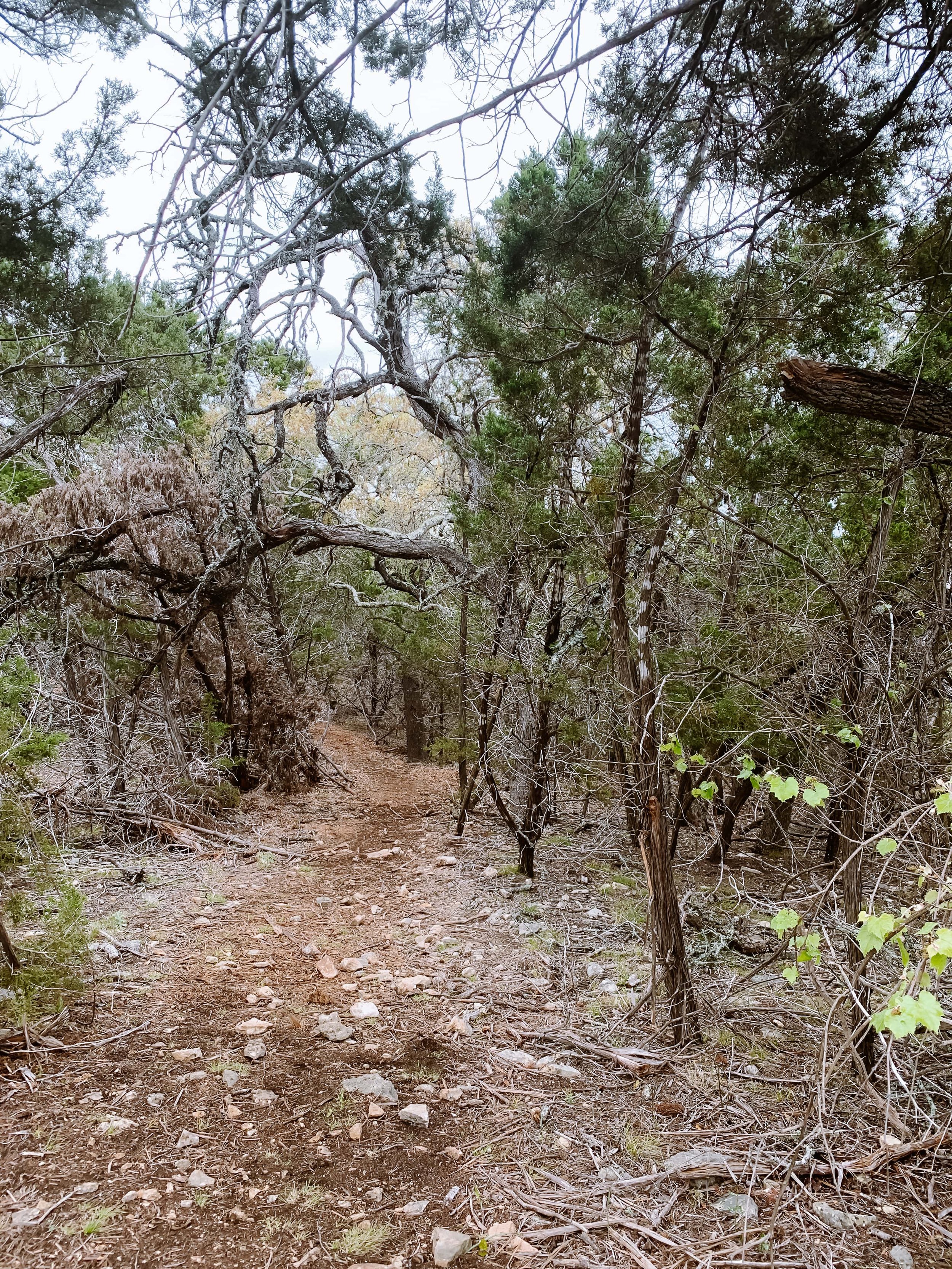 Texas Hill Country nature and outdoor adventures.jpg