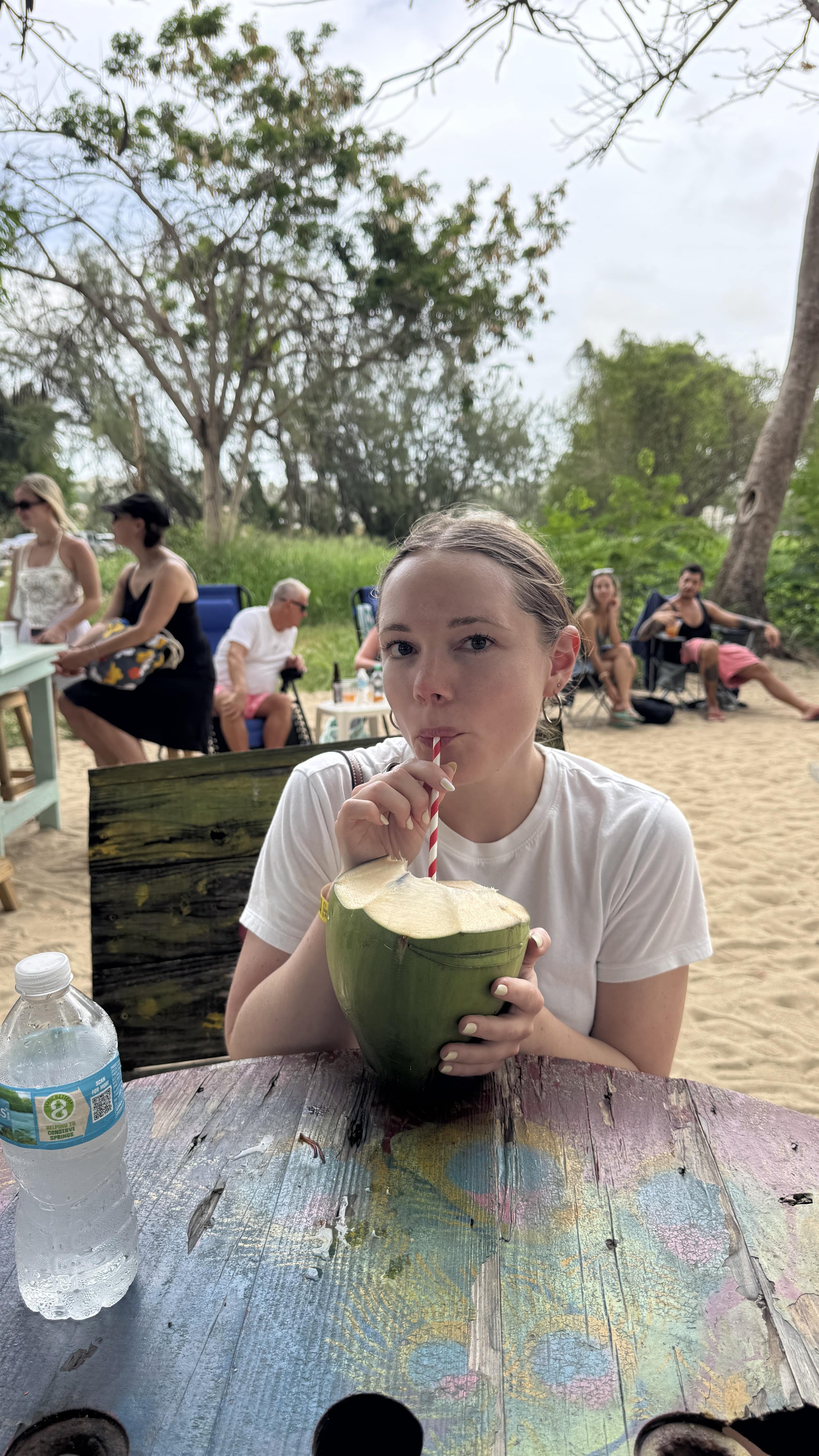 coconuts in barbados
