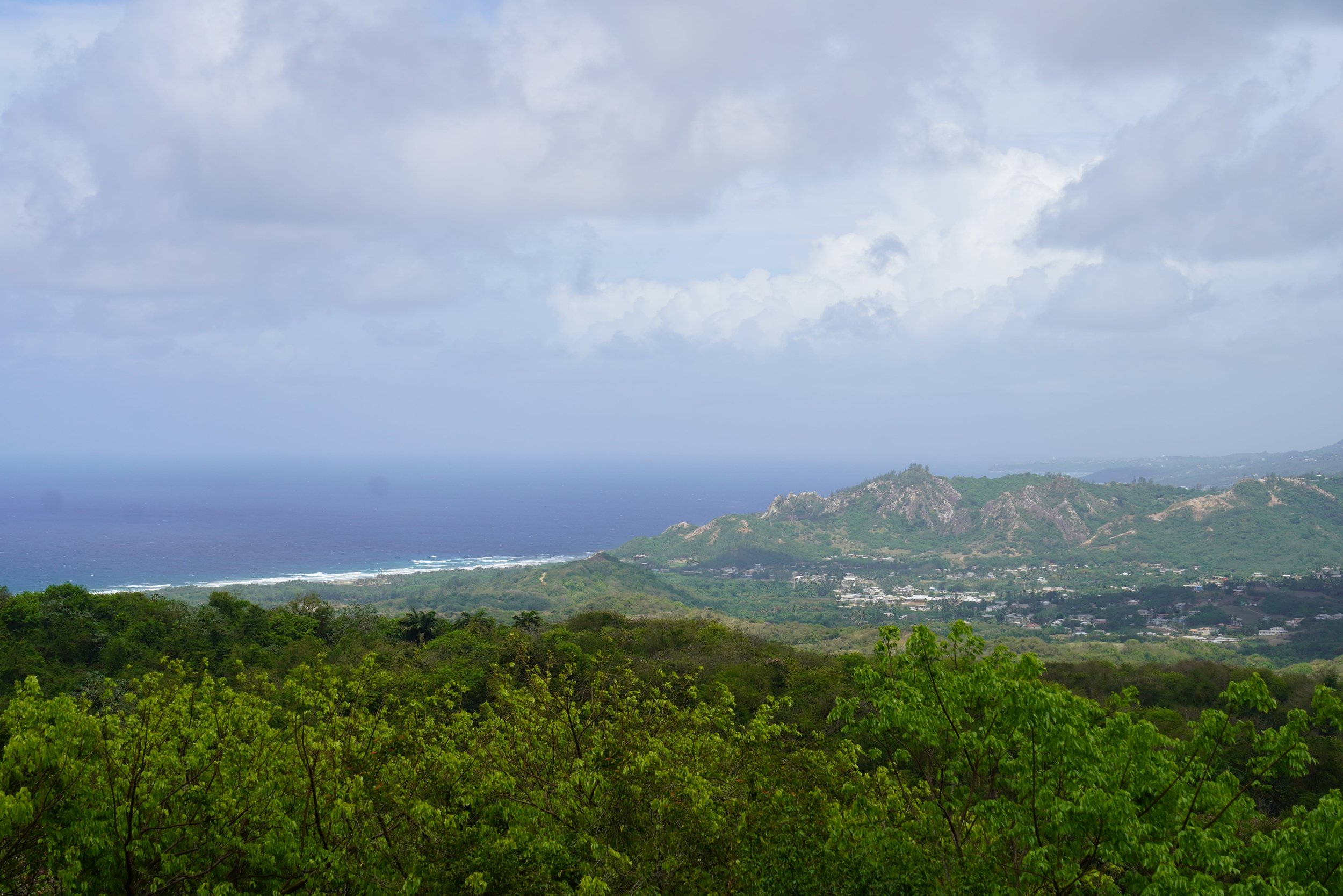 farley hill national park_things to do in barbados.jpeg