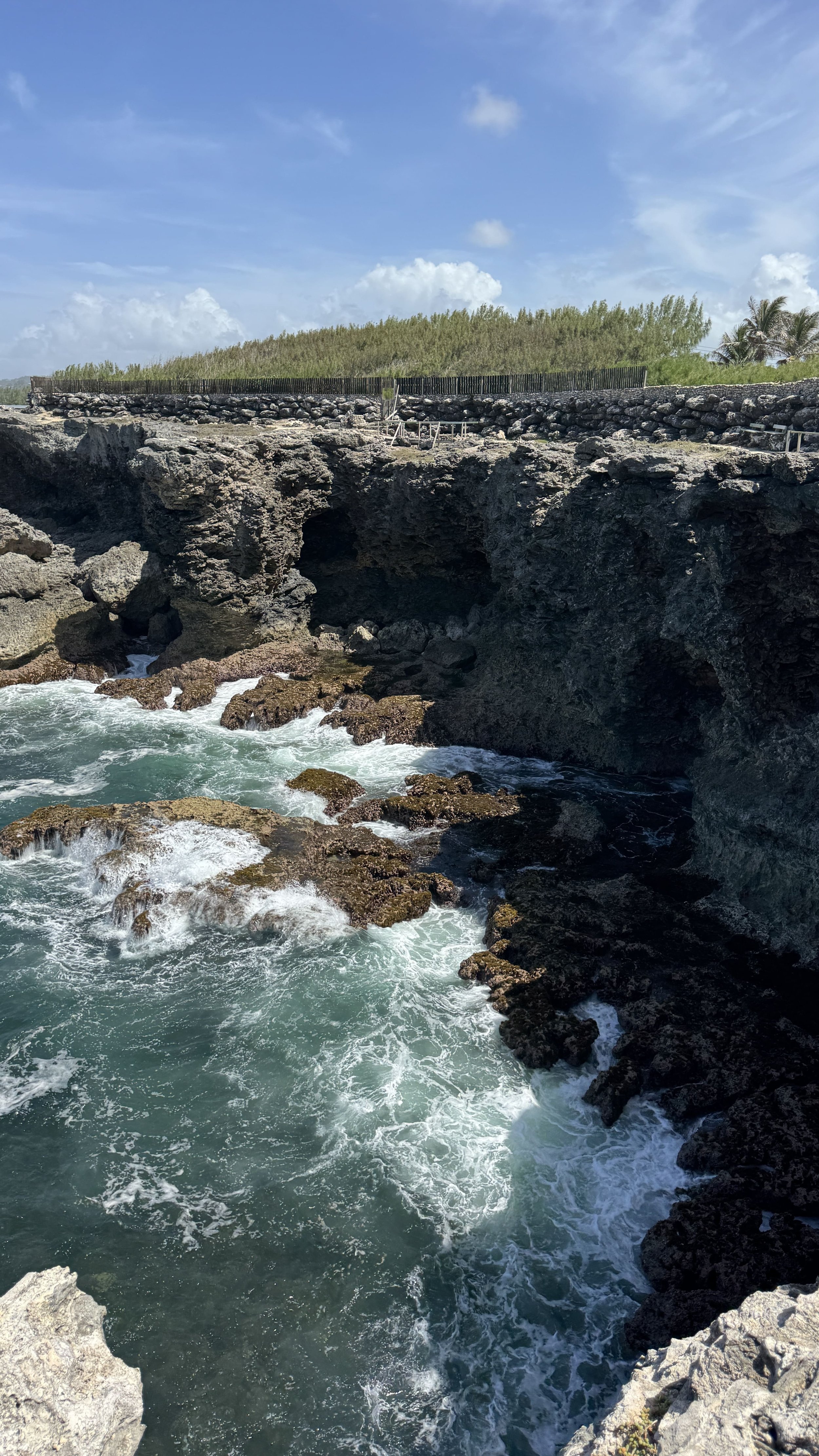best coastal views in barbados.jpeg