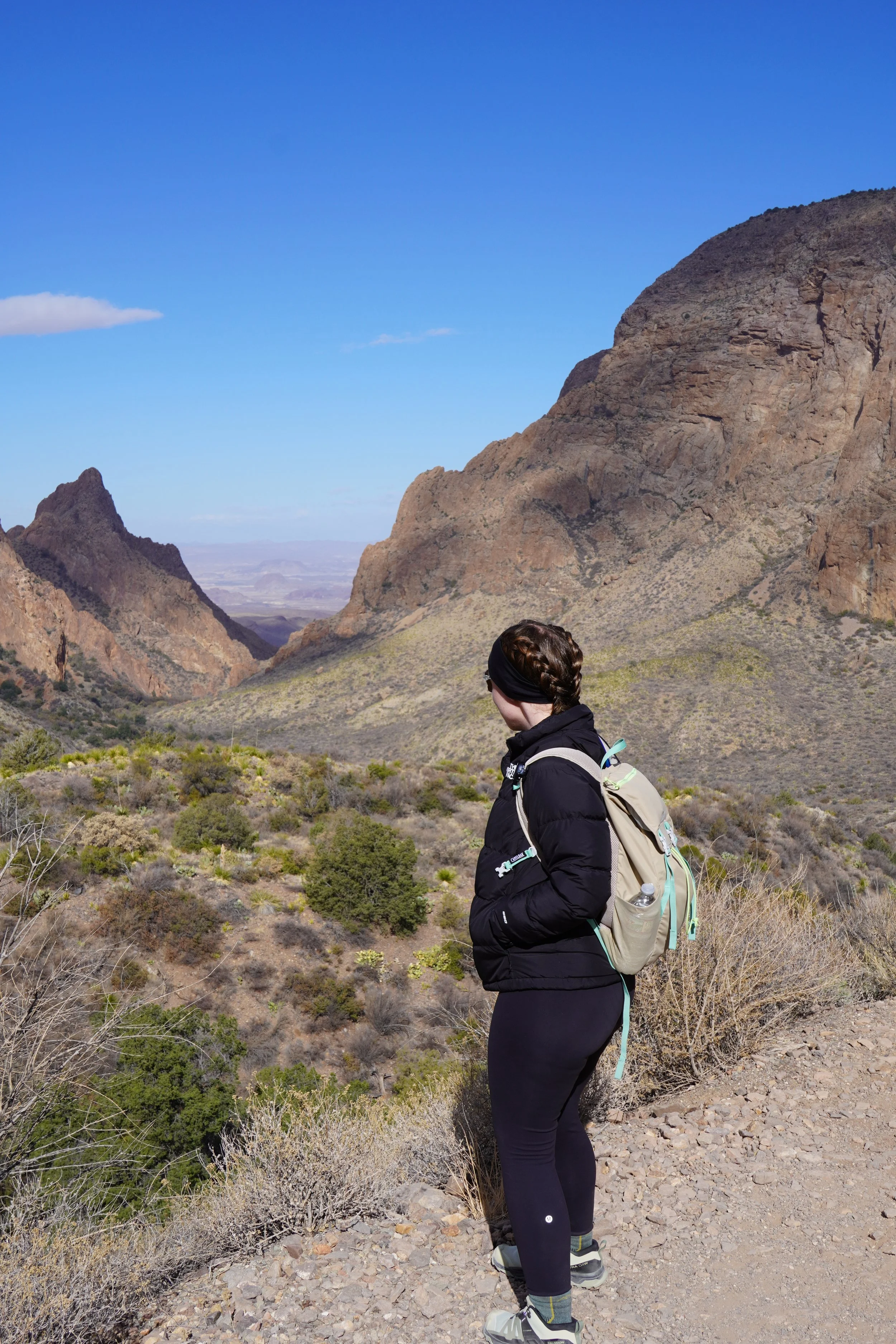 window trail big bend national park