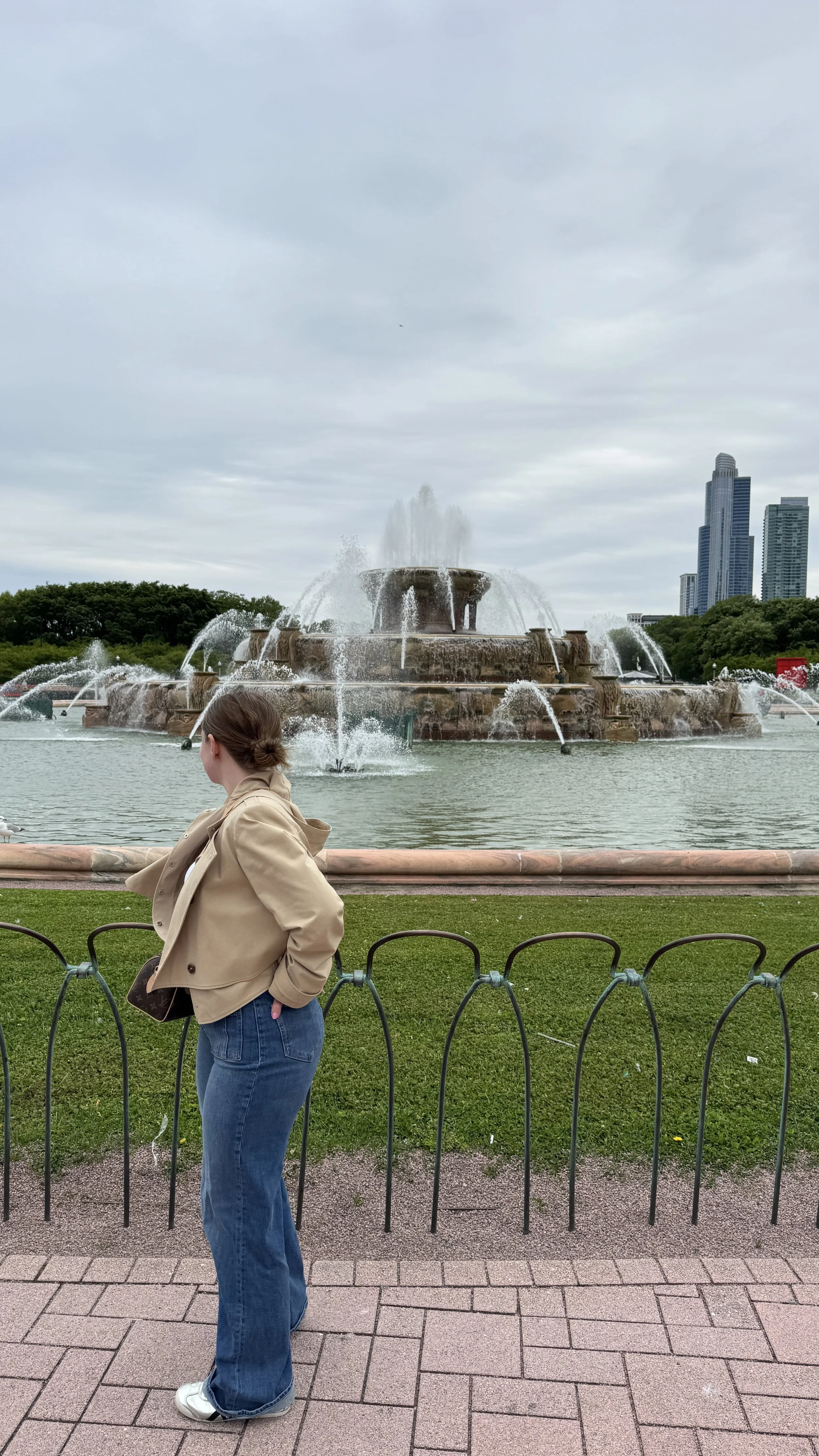 iconic sites in chicago