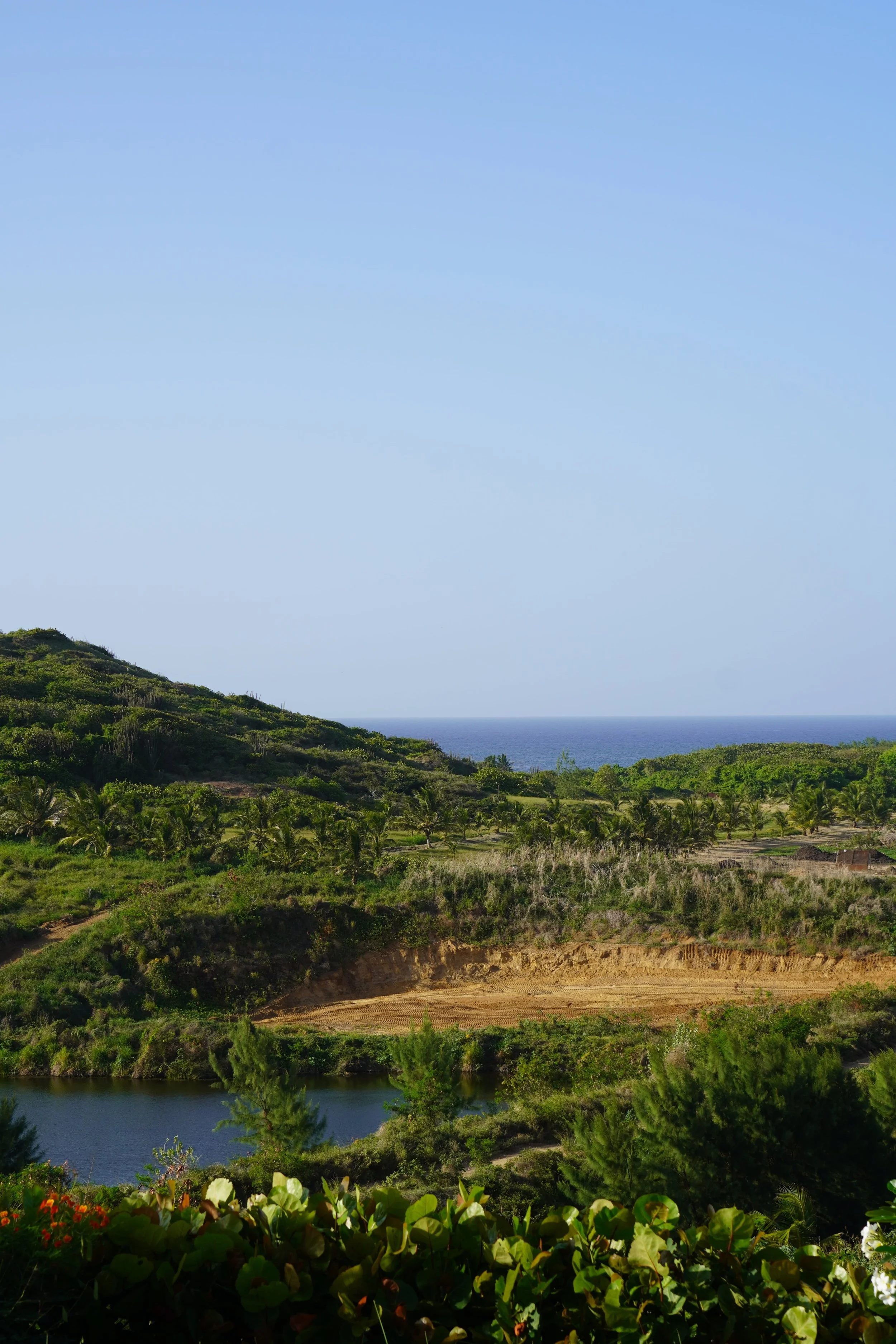 best tours in barbados_eco tourism barbados.jpeg