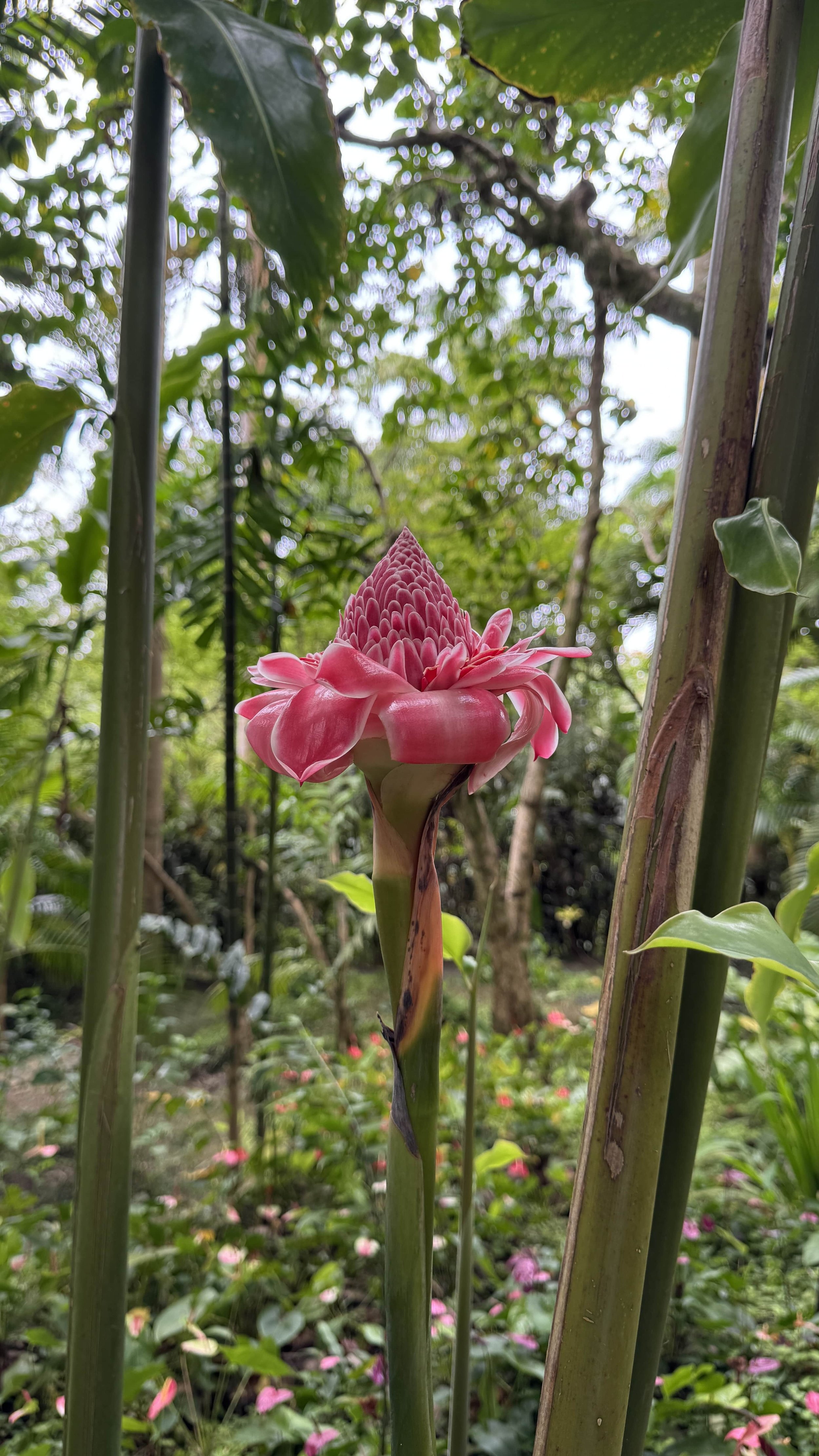 day trips in nature in barbados