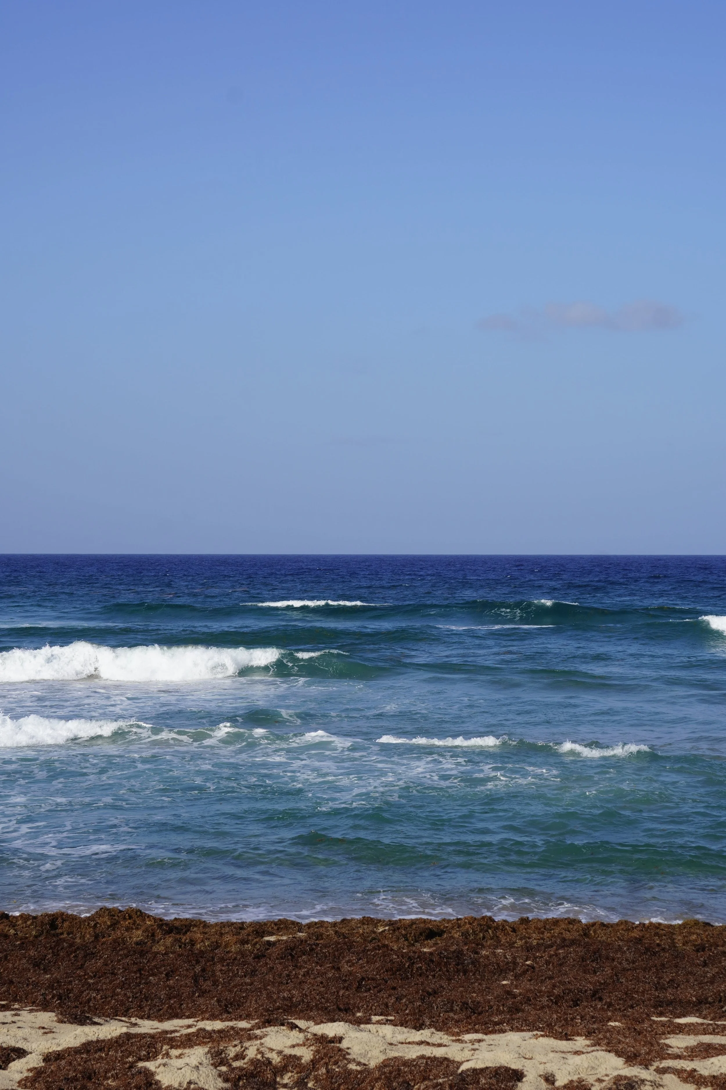 untouched beaches in barbados.jpeg