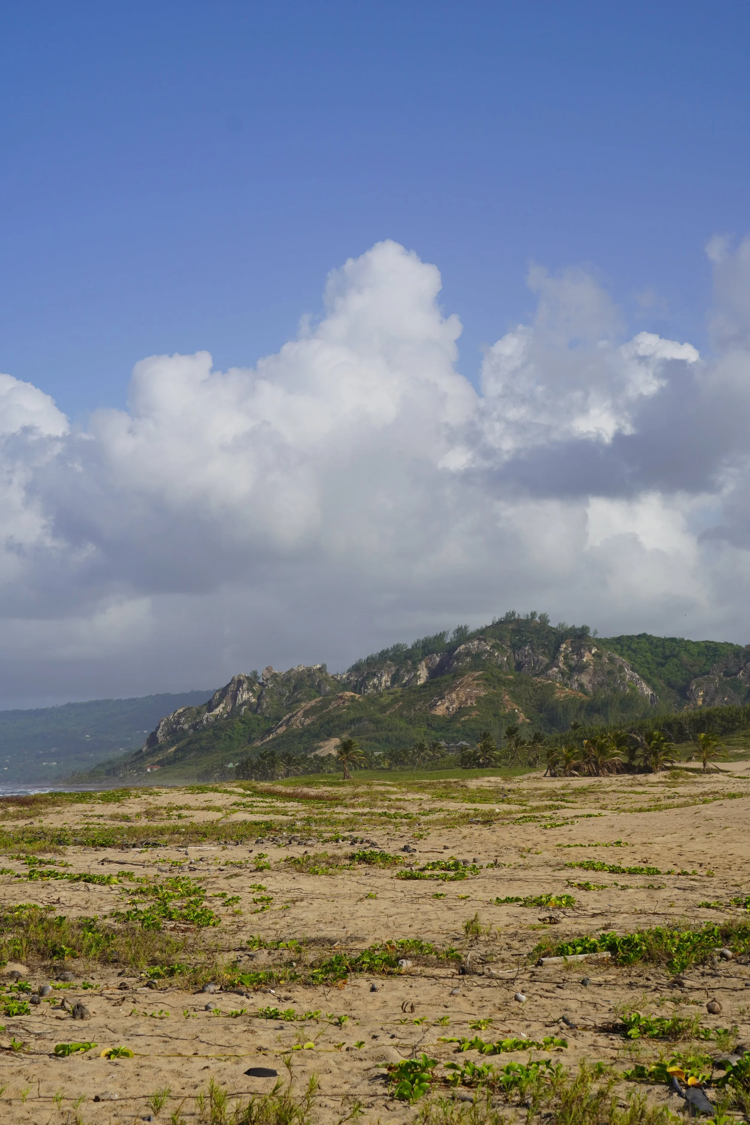 things to do near Belleplaine, saint andrew, barbados.jpeg