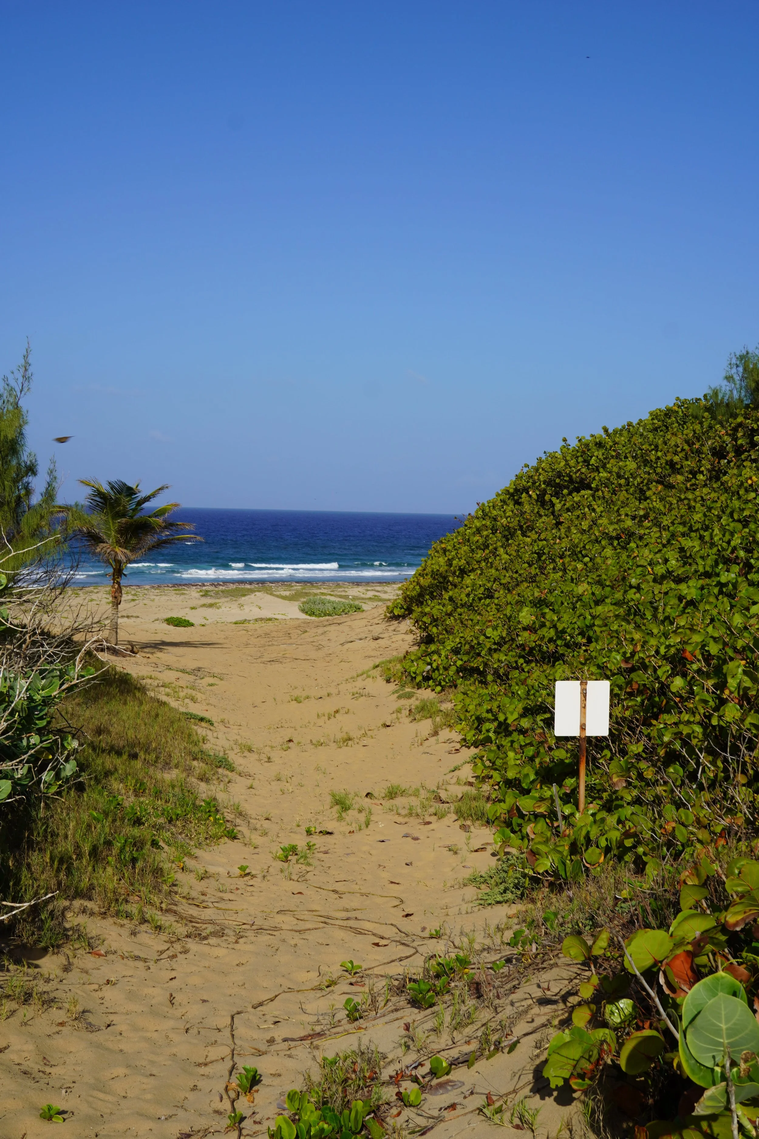 day tours in barbados_walkers reserve.jpeg