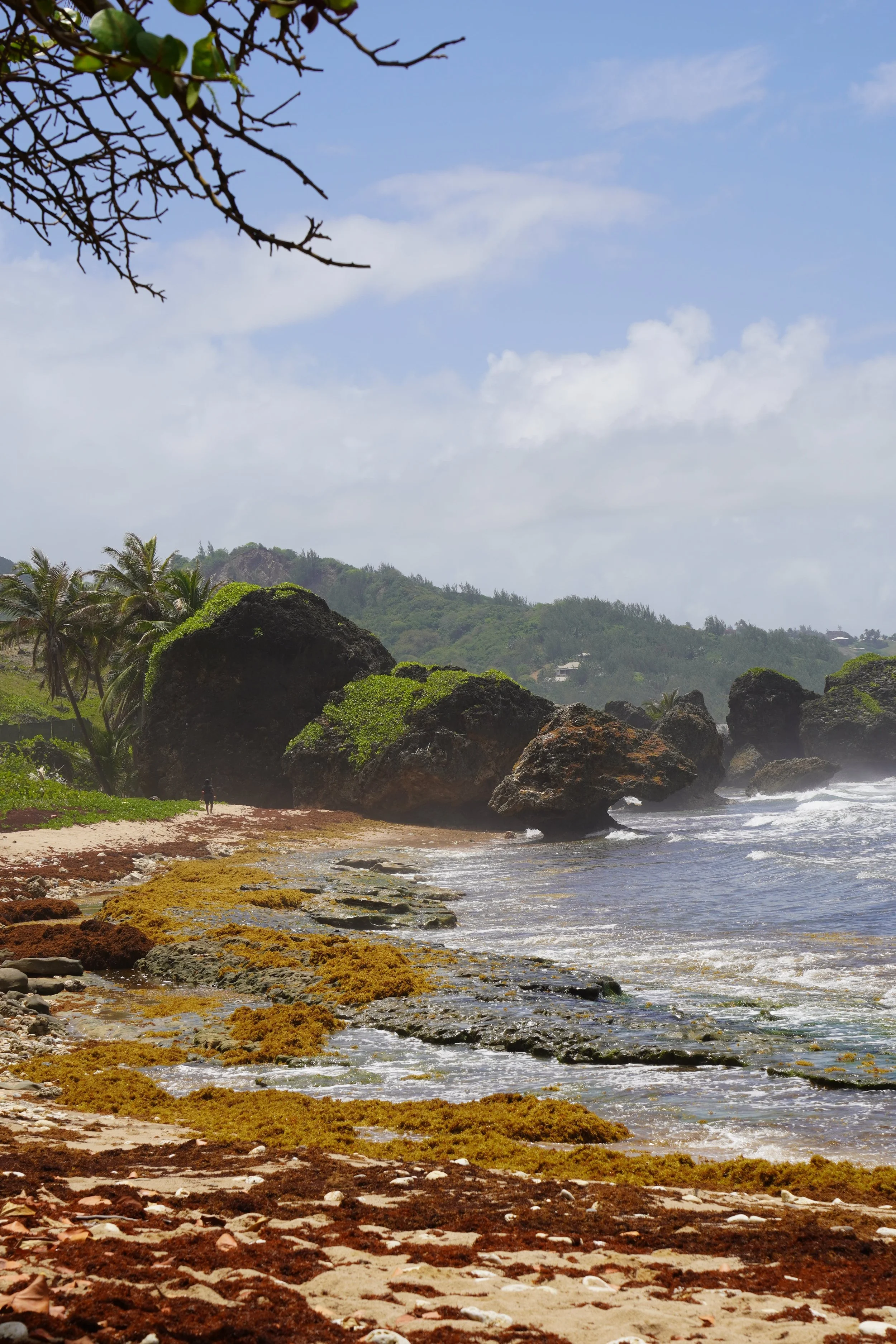 bathsheba barbados travel guide.jpeg