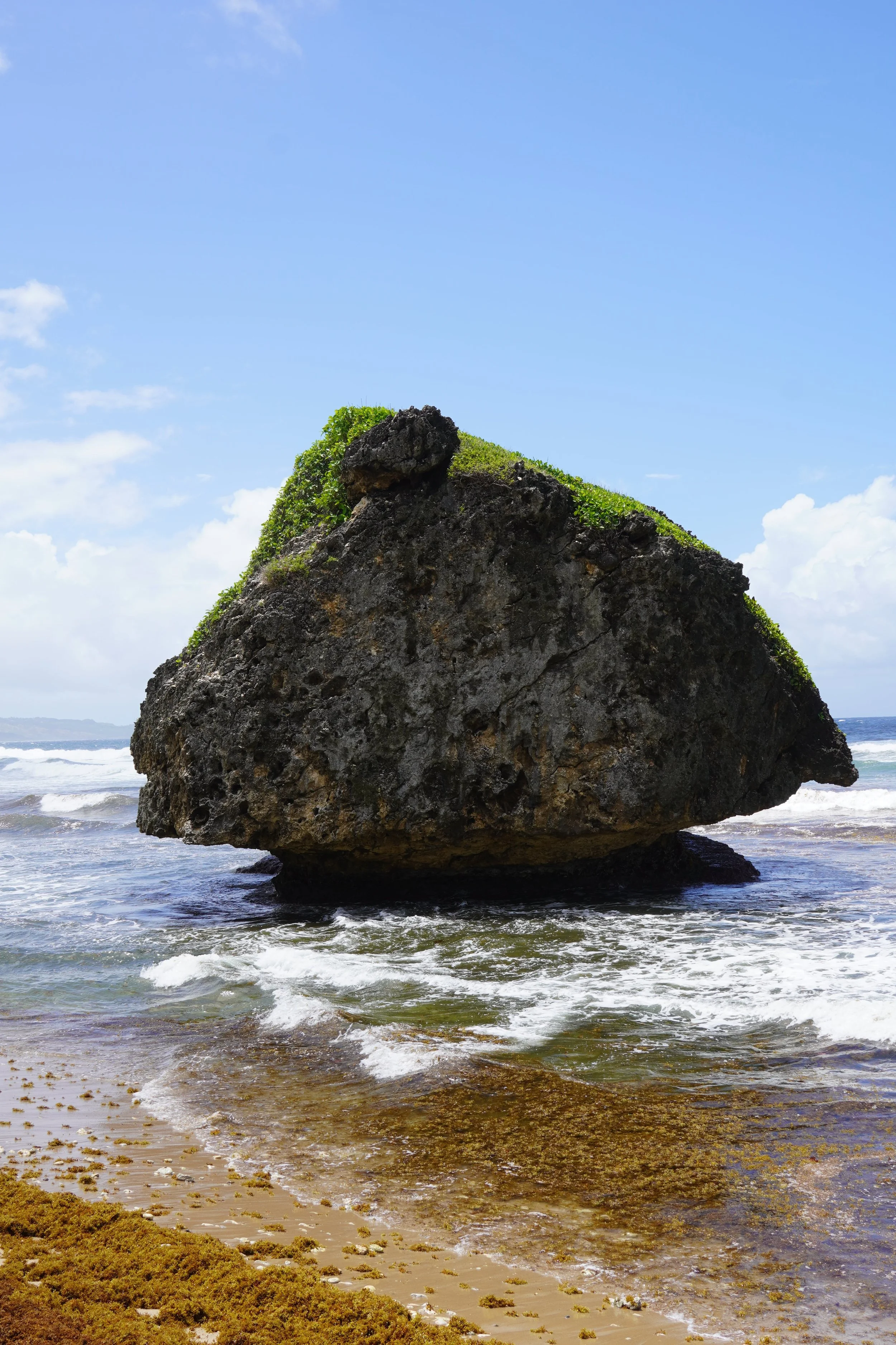 bathsheba_most beautiful beaches in barbados.jpeg