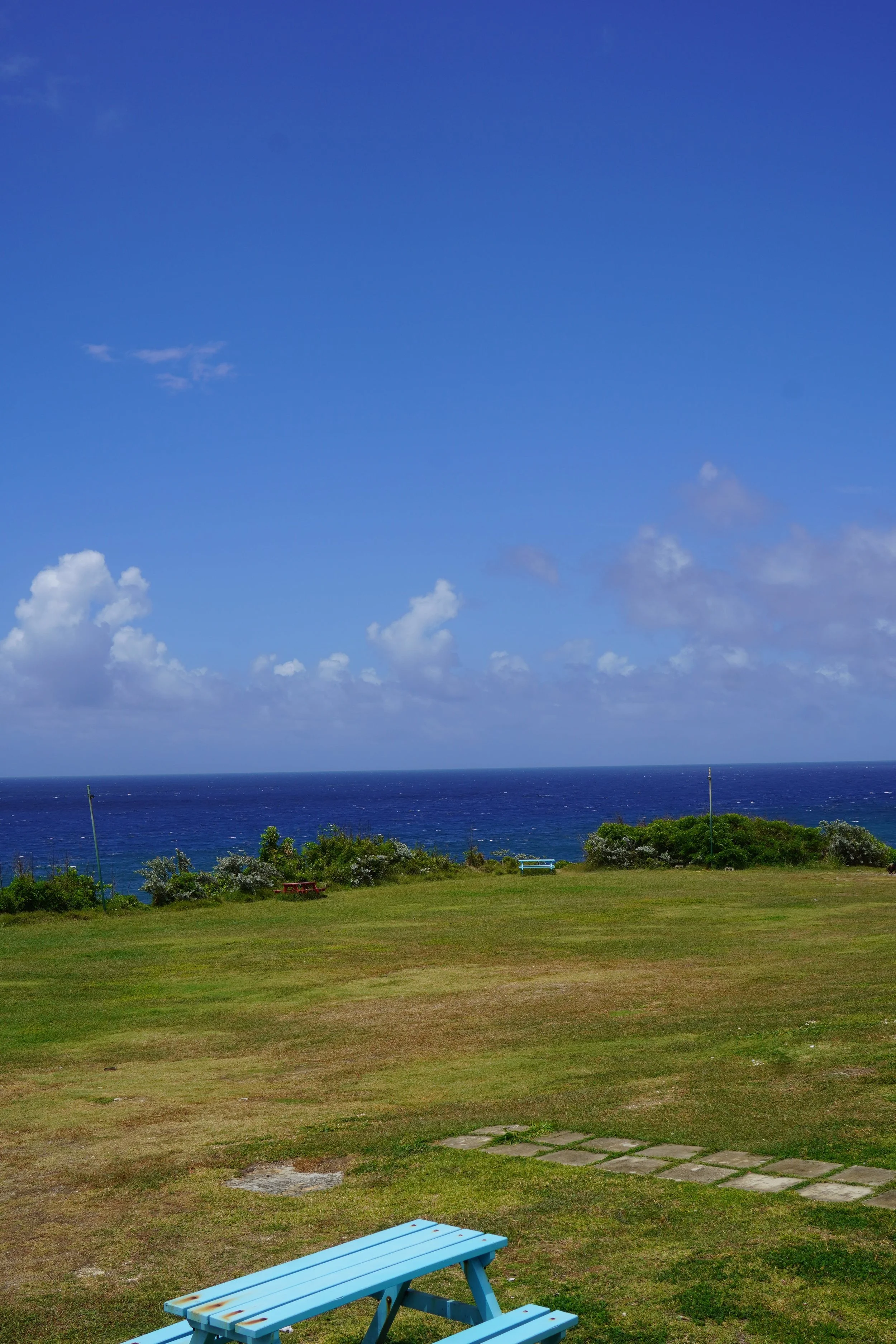 restaurants with a view barbados.jpeg