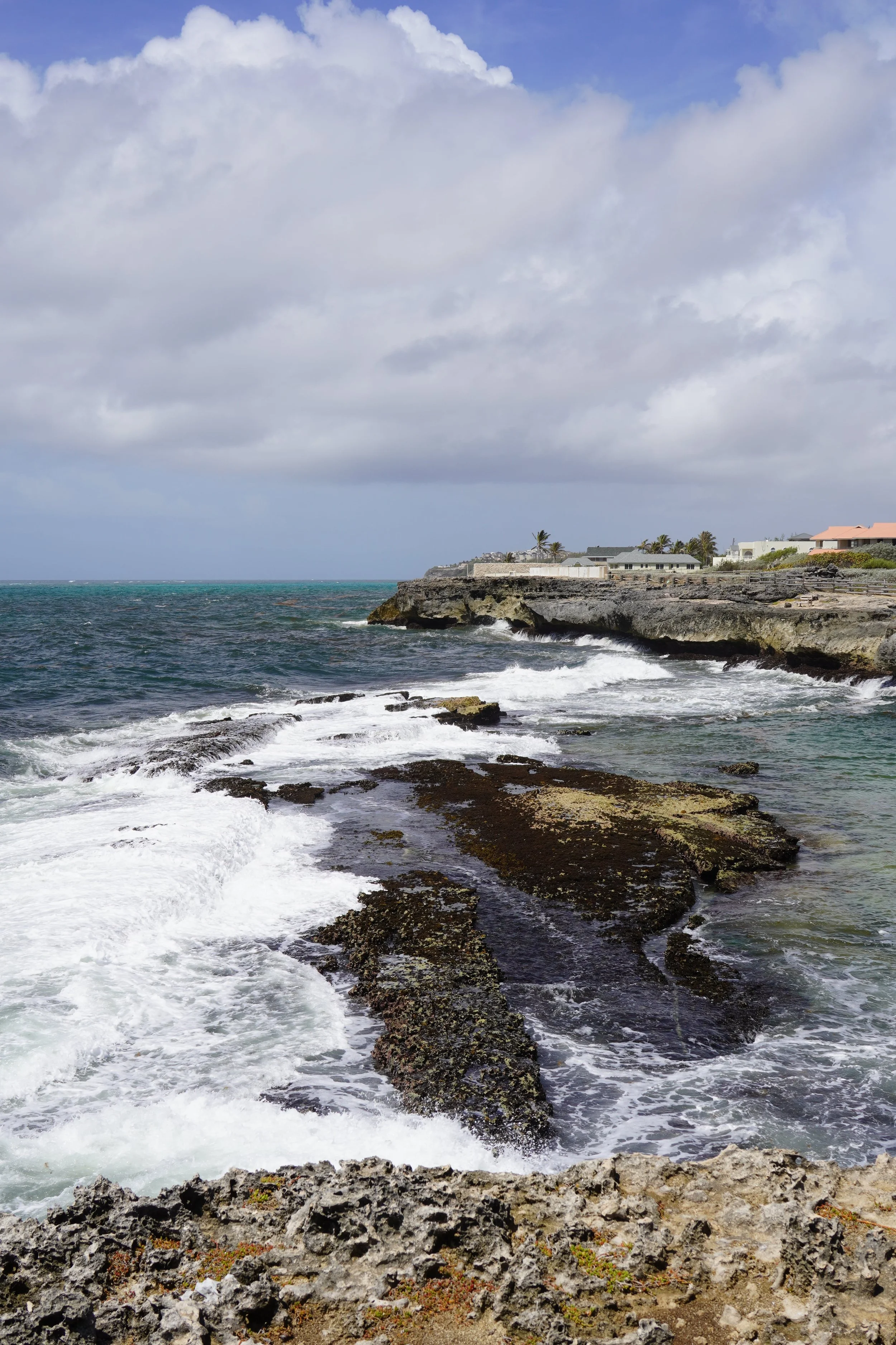 shark hole_scenic views in barbados