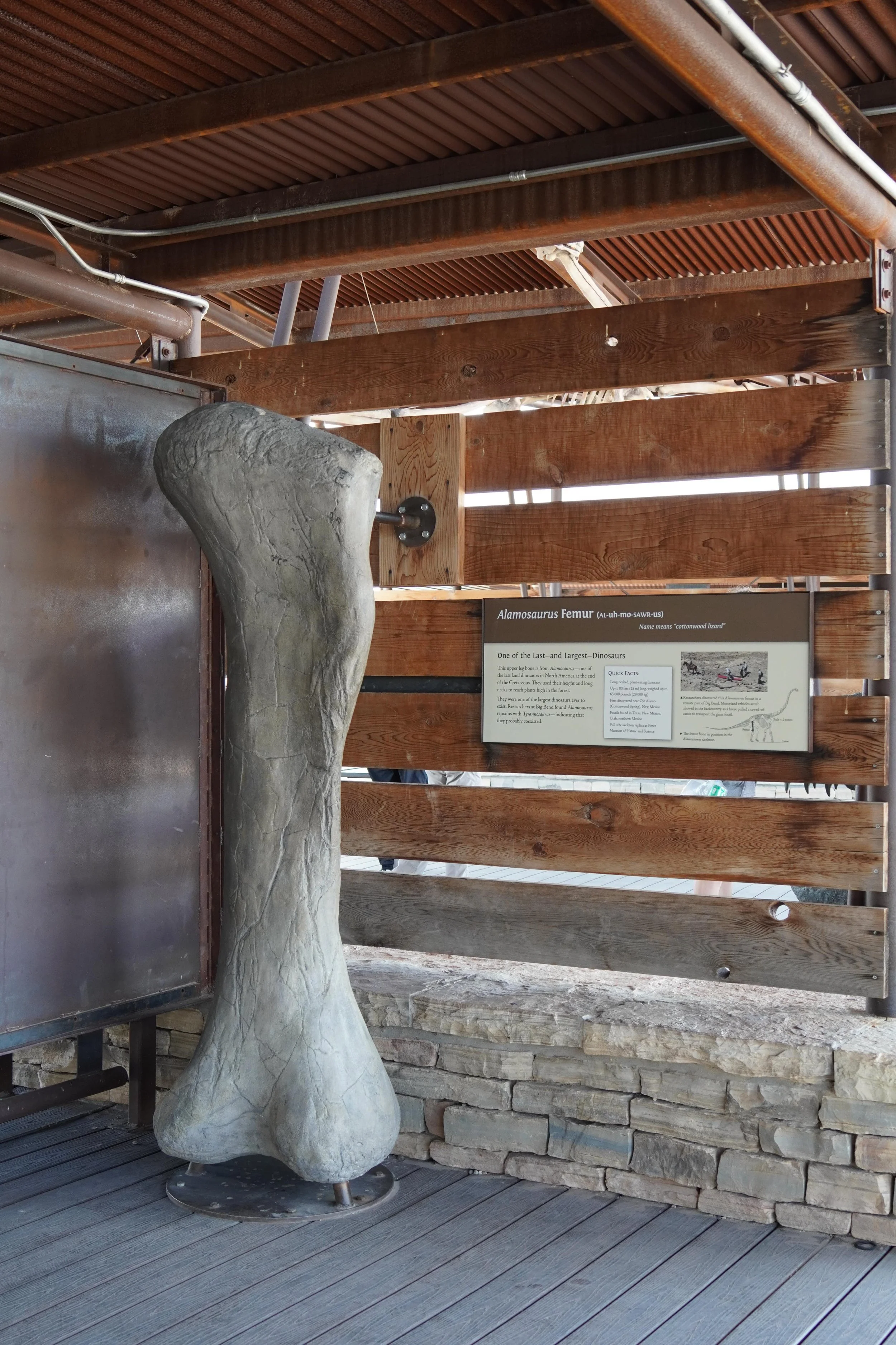 best stops in big bend national park