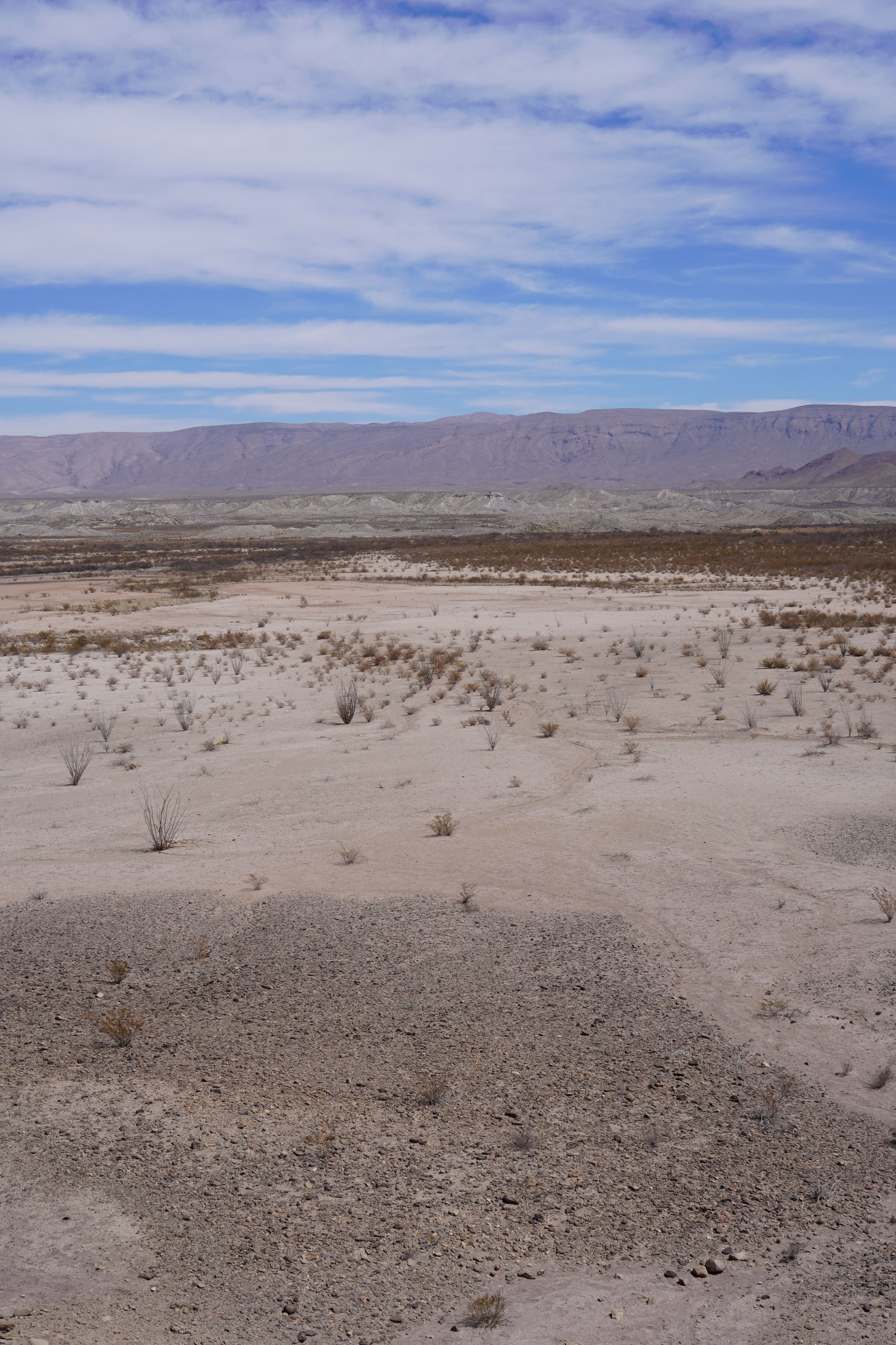 viewpoints in big bend national park