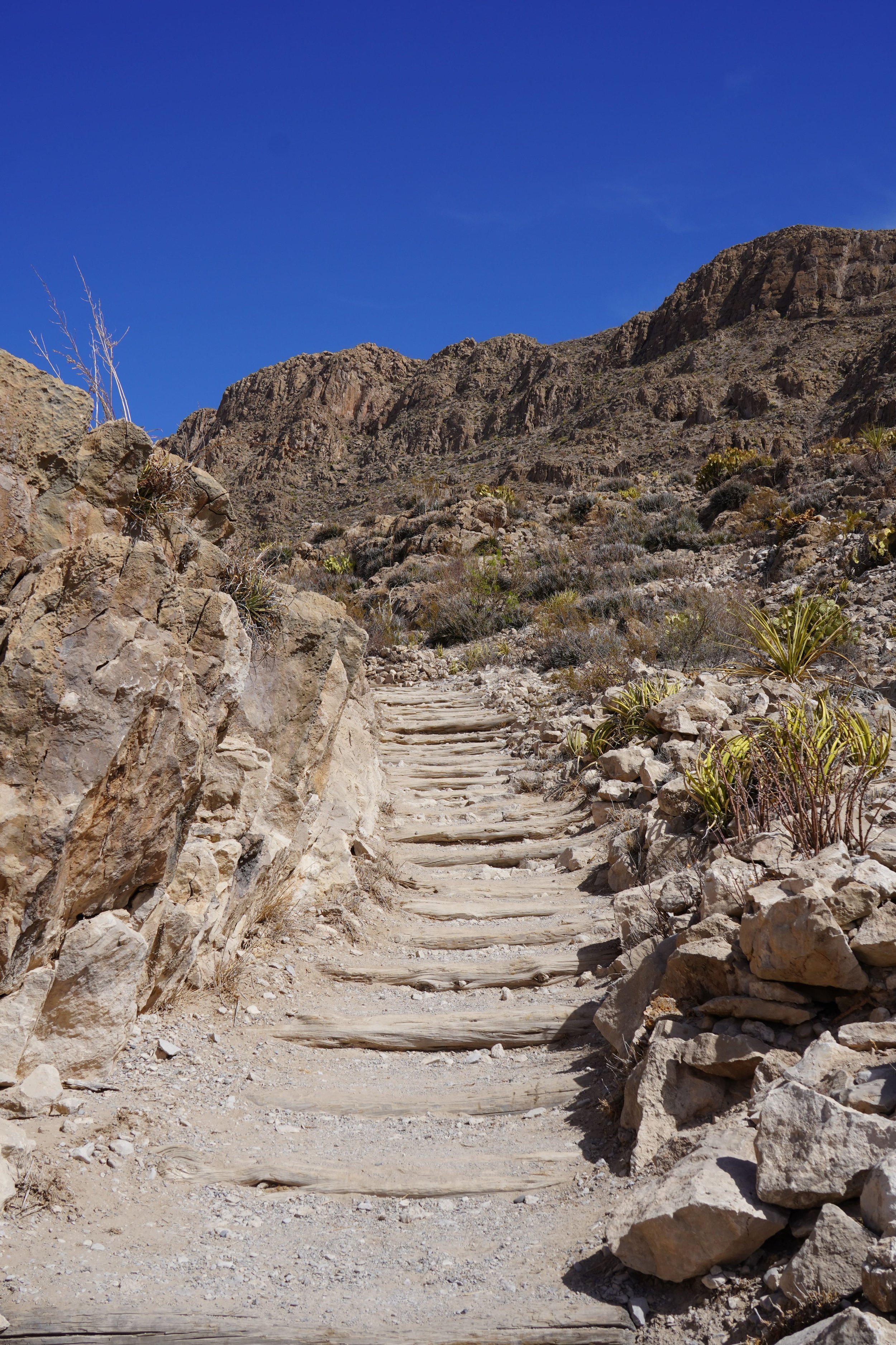 boquillas canyon trailhead
