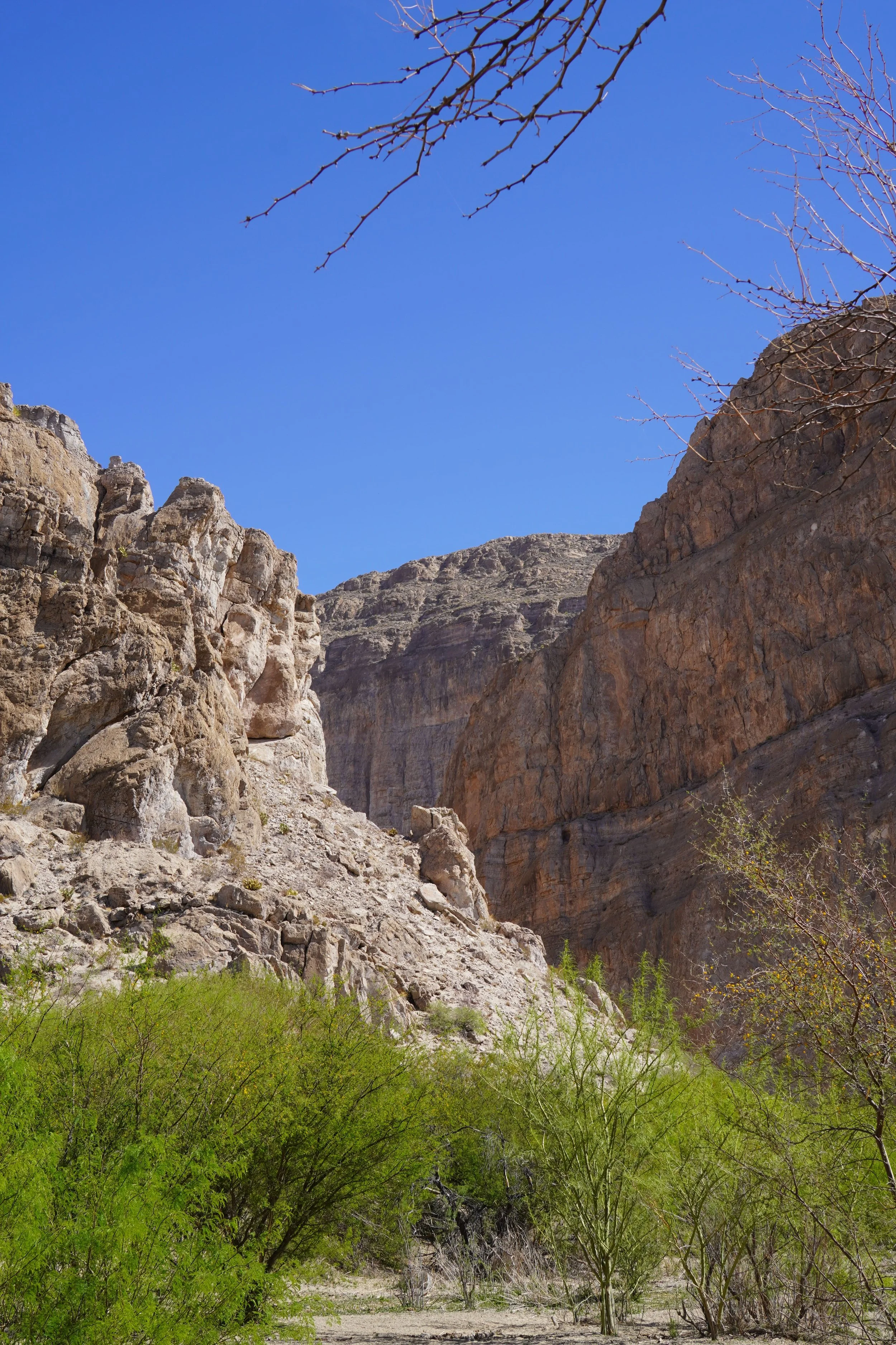 boquillas canyon, texas hiking guide