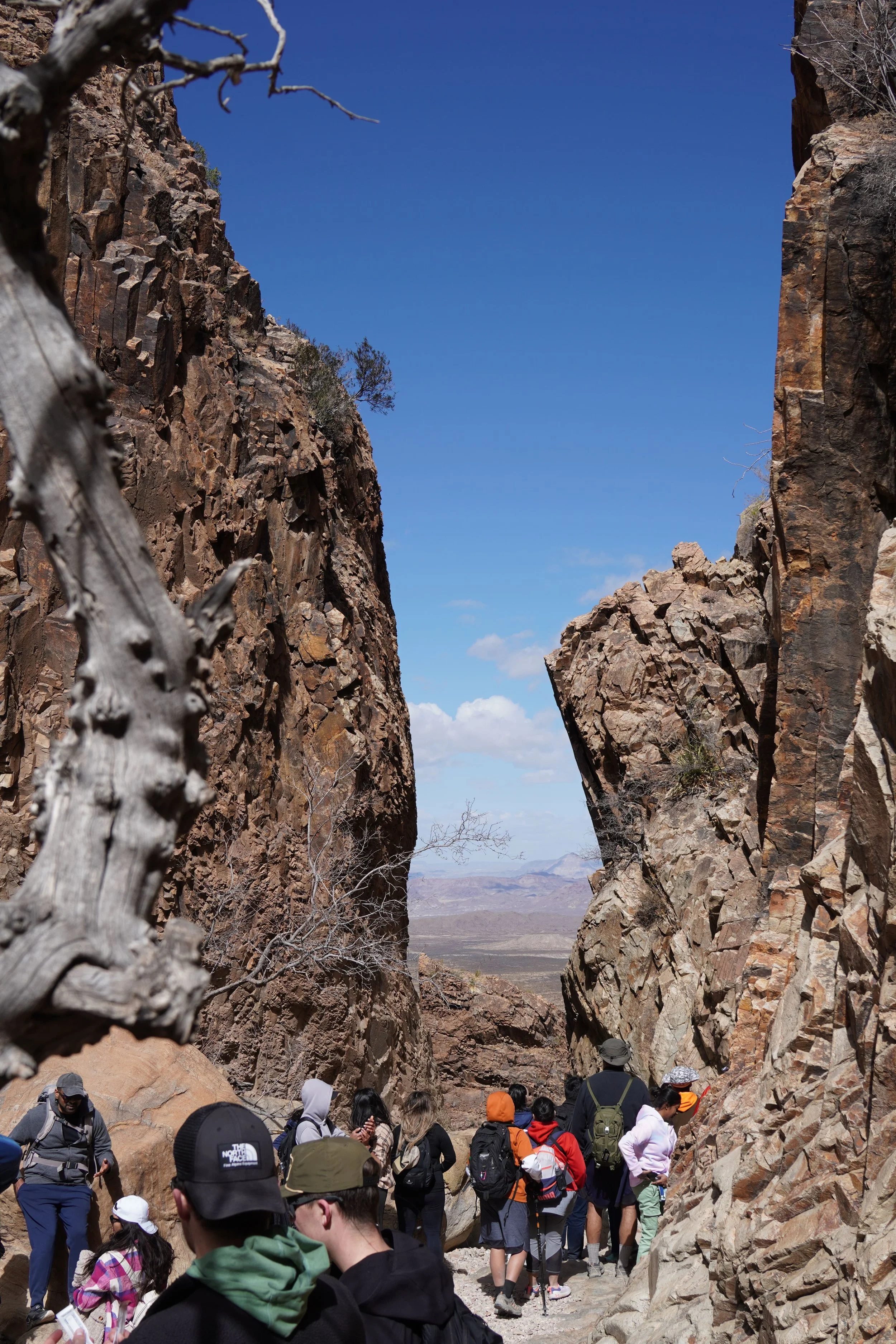 hiking the window view trail_big bend national park