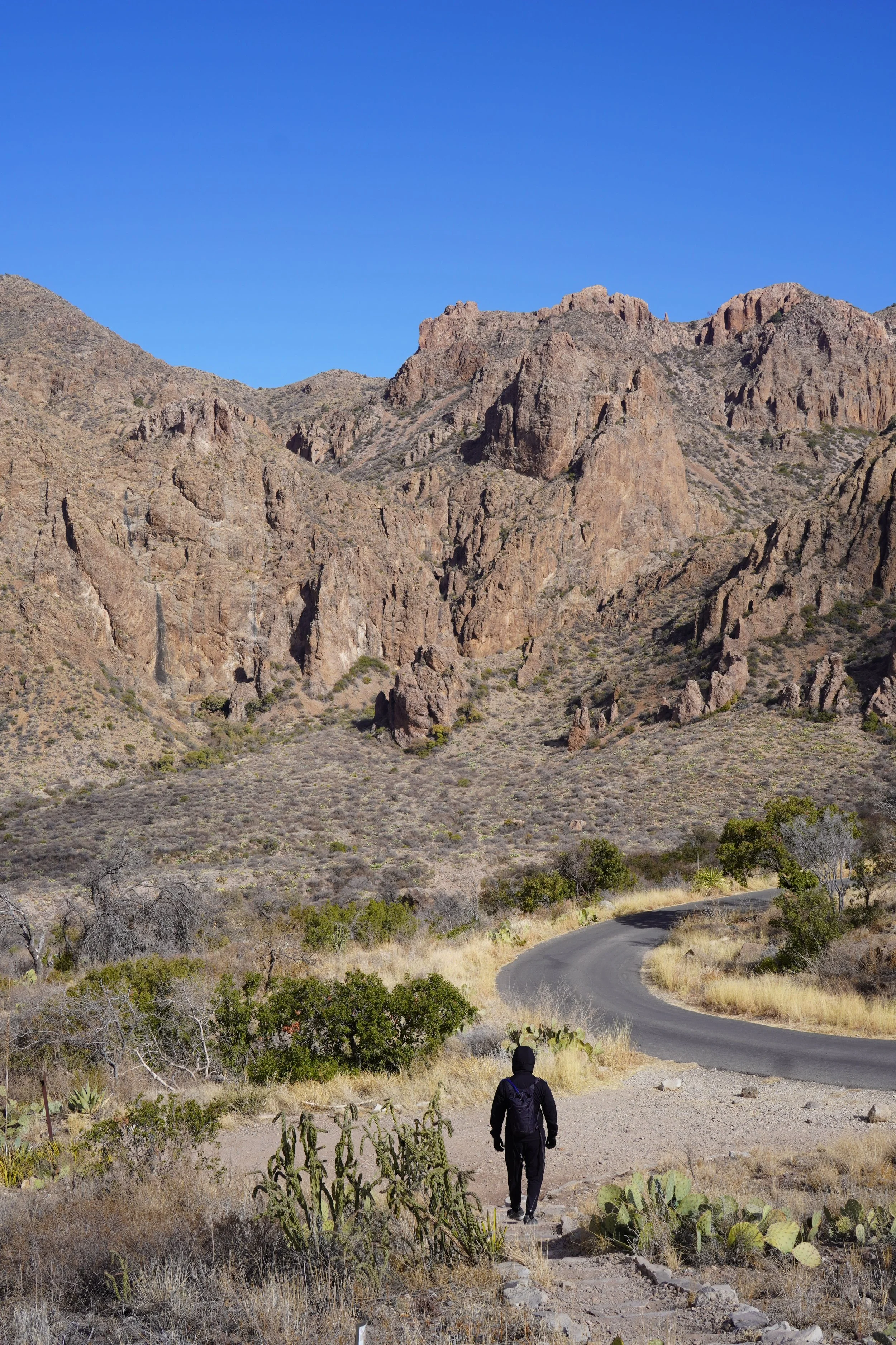 when to visit big bend national park
