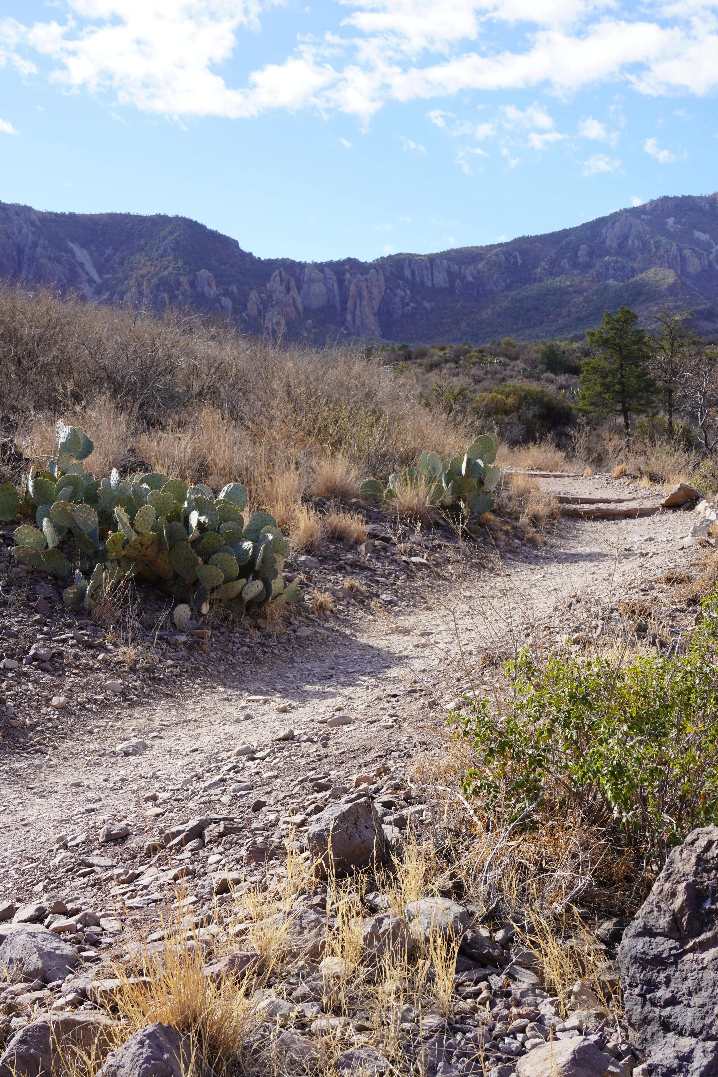 trail picture of window trail_big bend