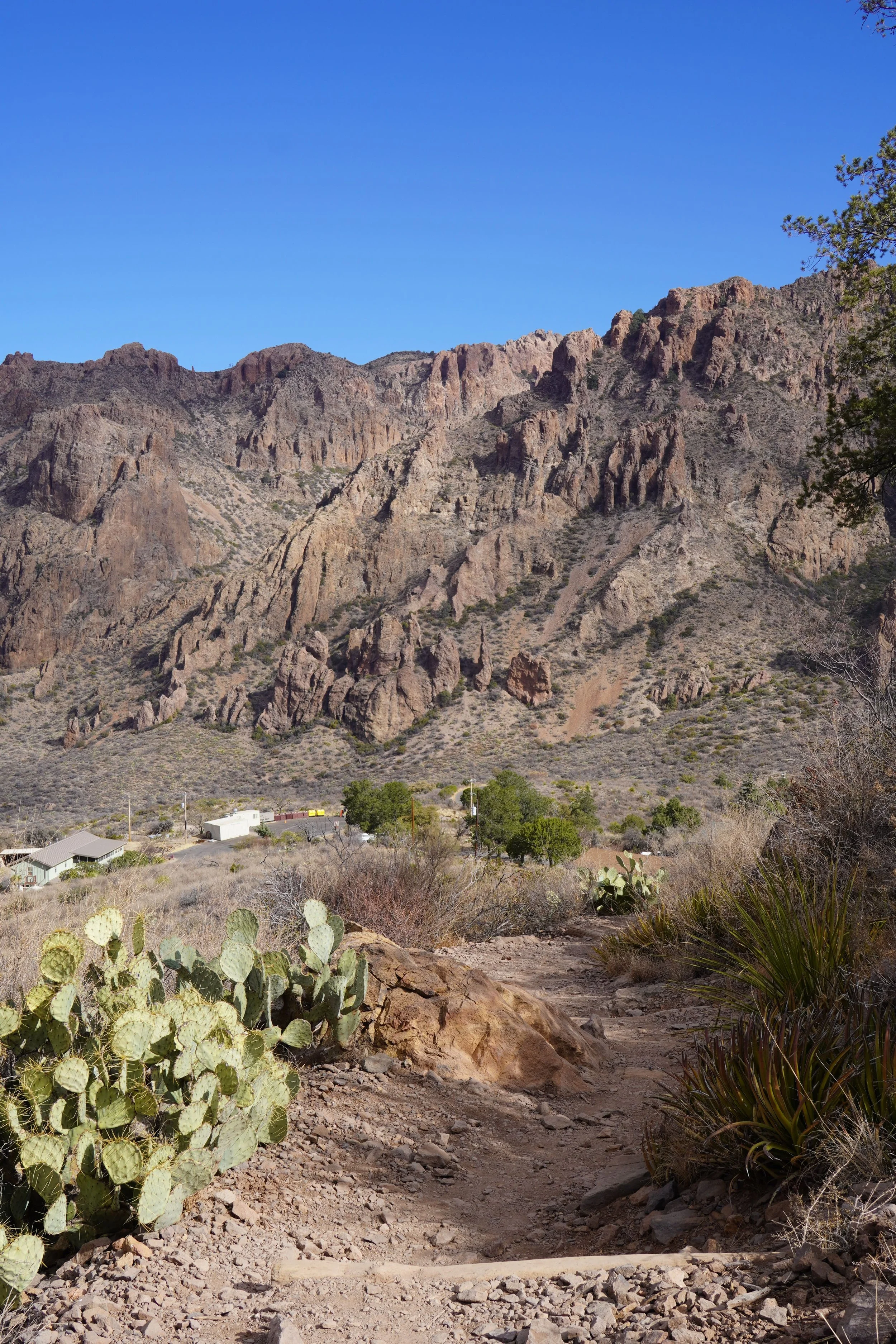 best hikes in big bend national park