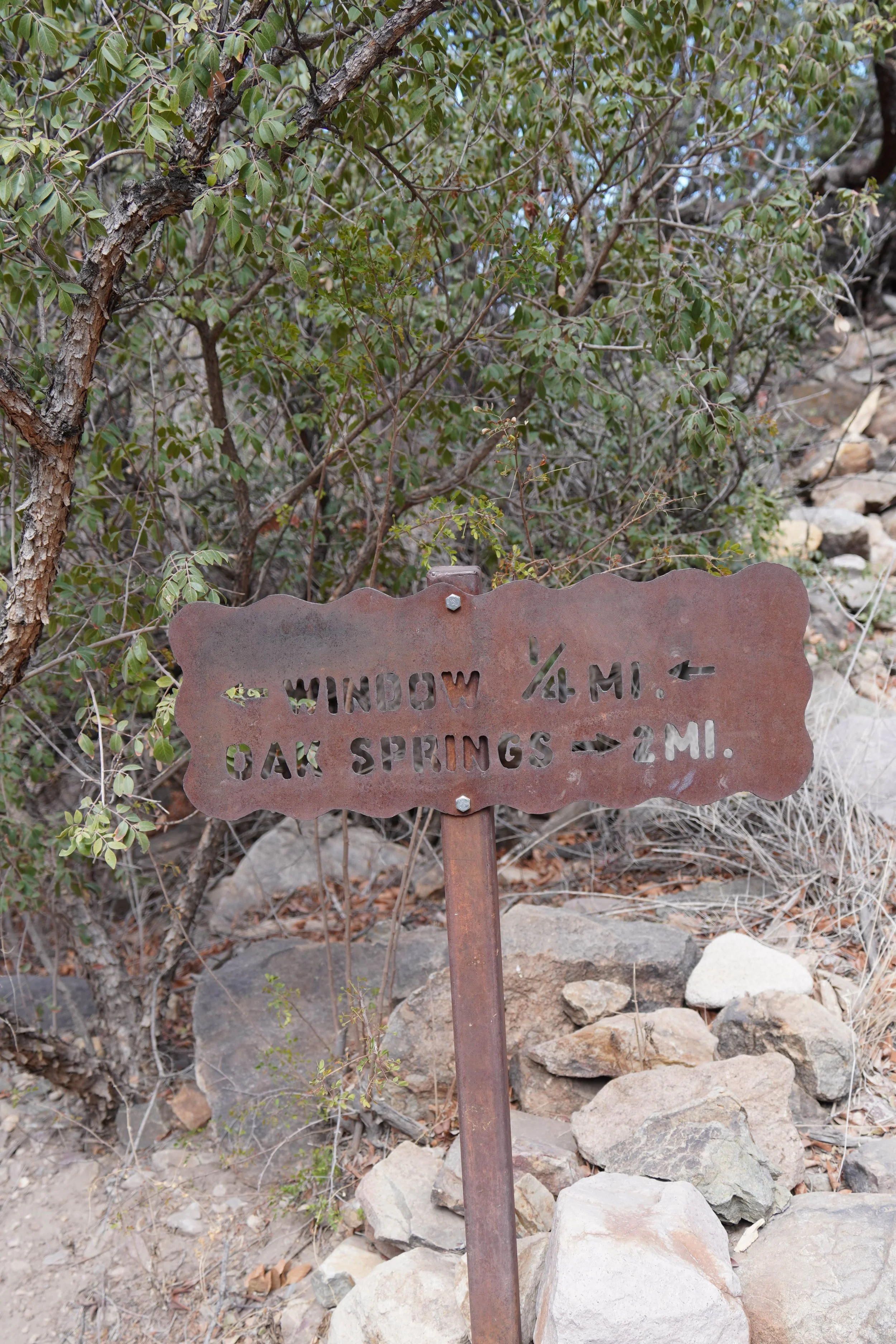 window trail in big bend