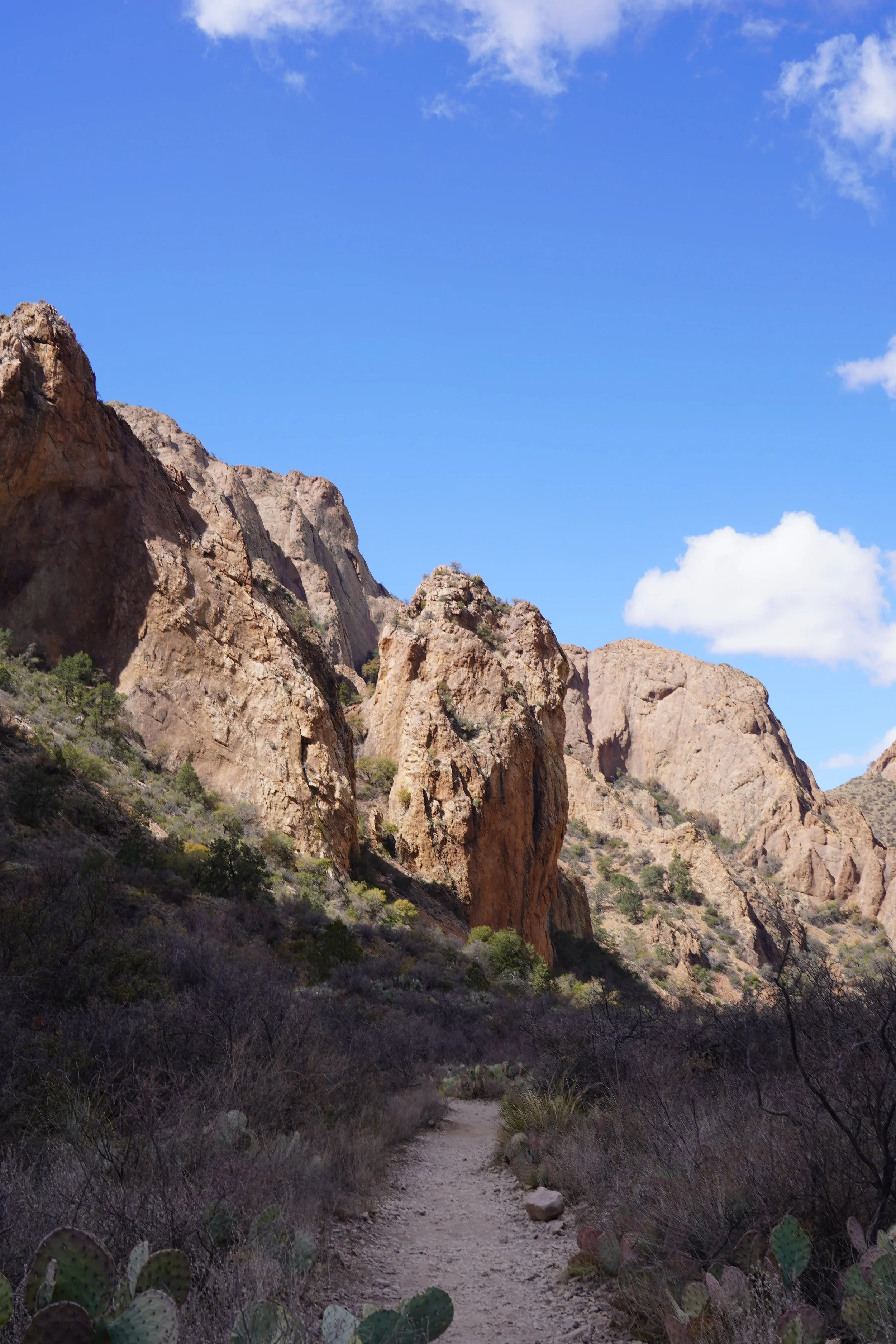 hiking in chisos basin big bend national park